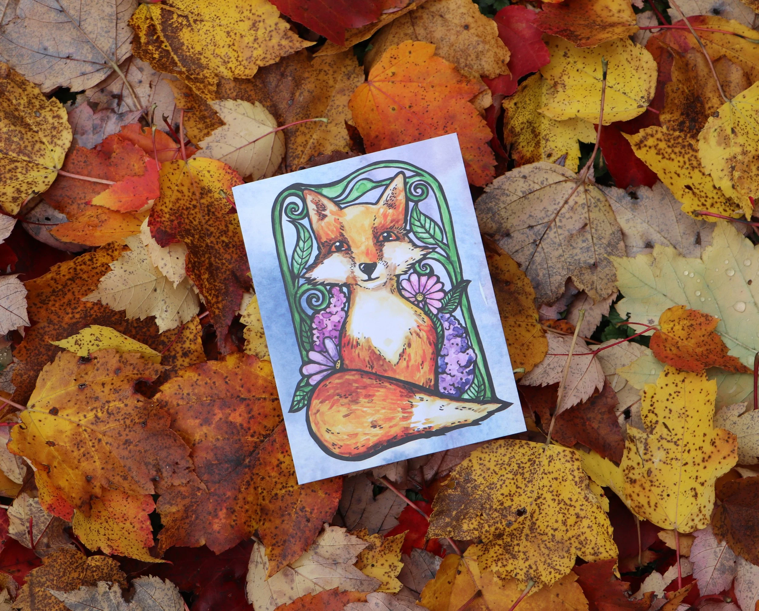 The red fox is an omnivorous predator with a varied diet that includes small mammals, birds, insects, and fruits. Their opportunistic feeding habits allow them to thrive in different ecosystems. Whether hunting in the wild or scavenging in cities, th