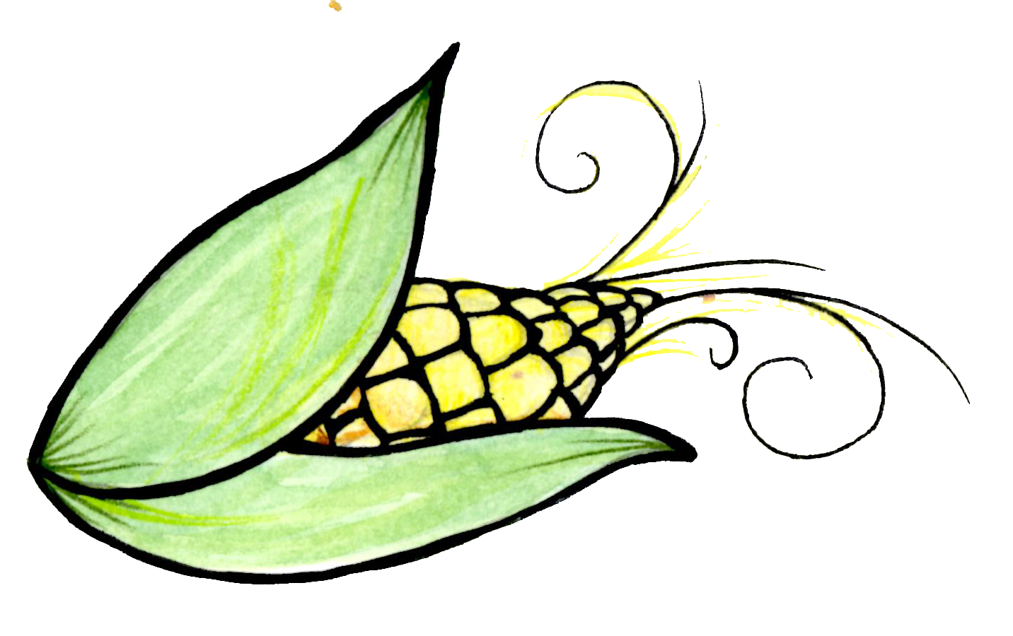 A watercolor illustration of a corn cob partially wrapped in green husks with decorative black line details and swirling accents.