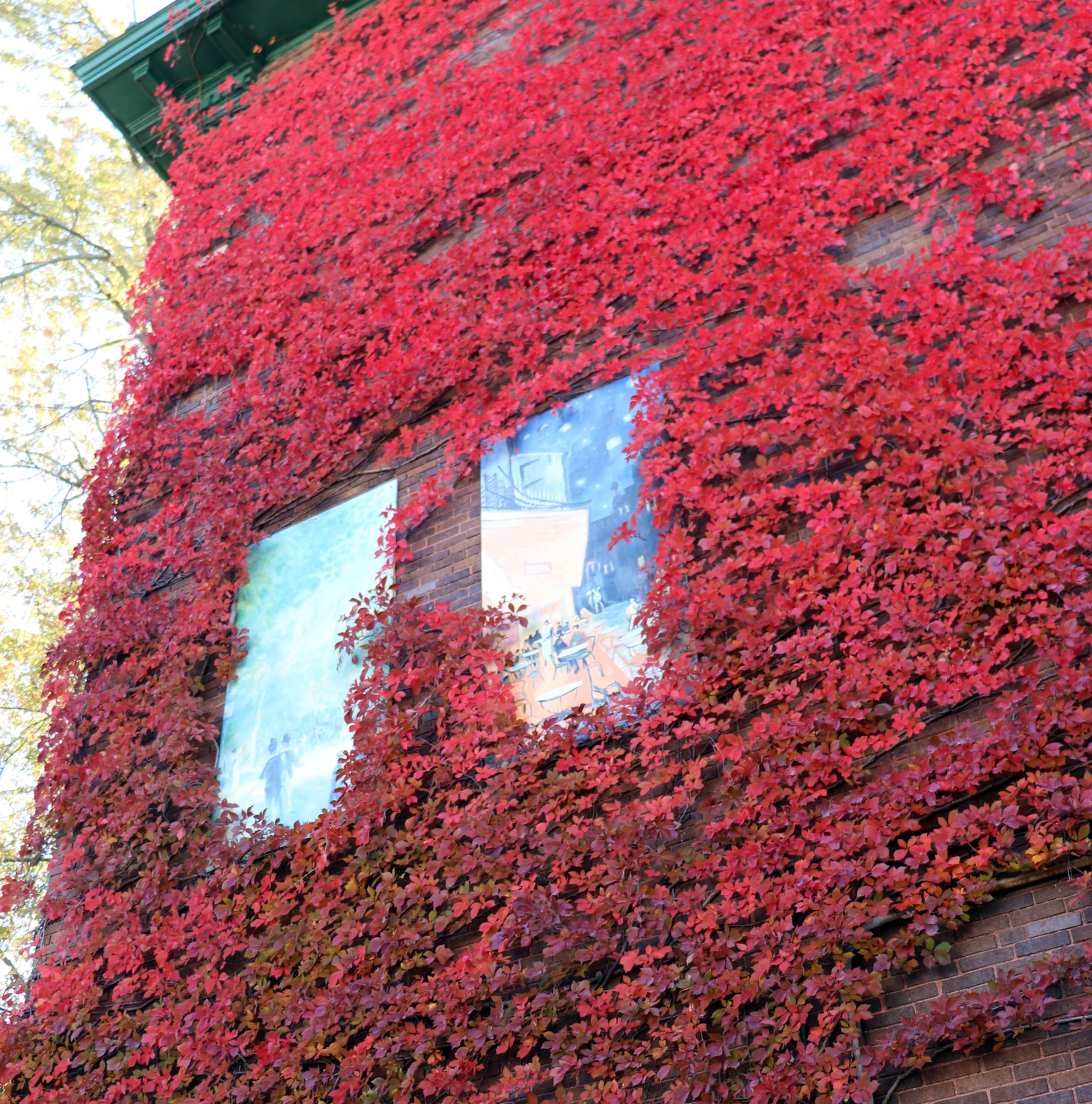 Building covered with red and orange autumn leaves.