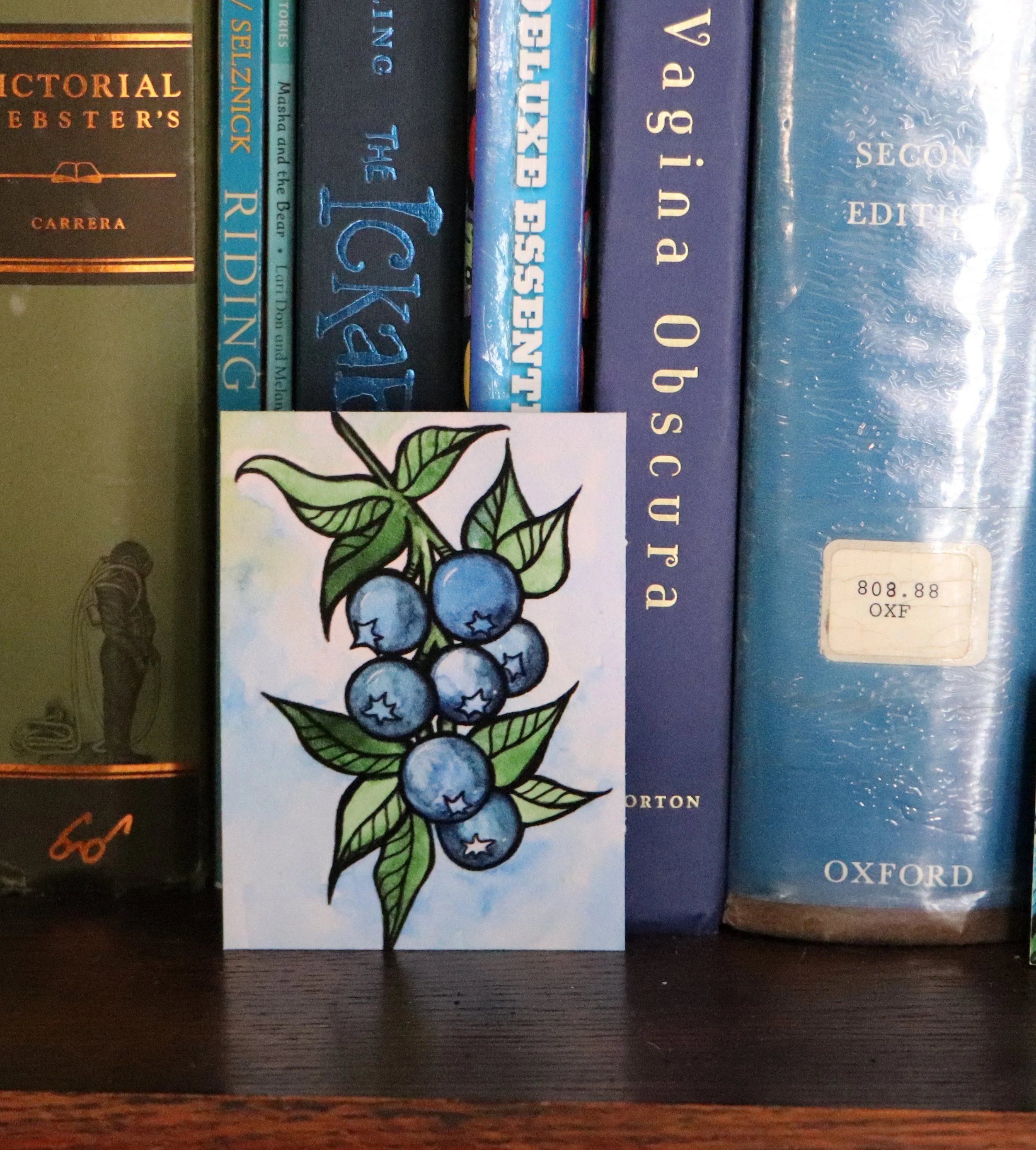 A collection of books on a bookshelf with a small colorful drawing of a blueberry branch in front of them
