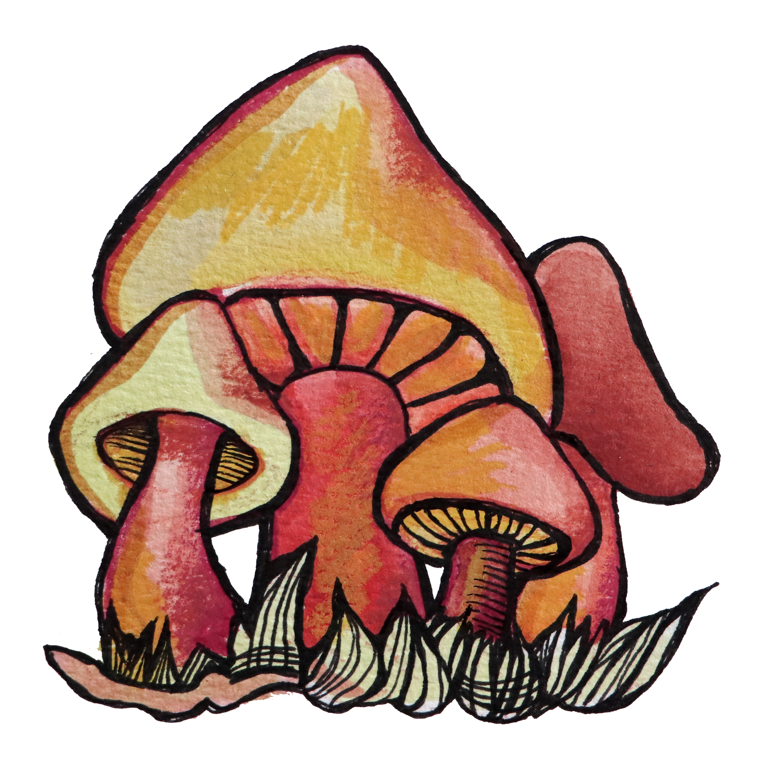 Colorful hand-drawn illustration of a mushroom, with yellow and orange cap and black outlines.