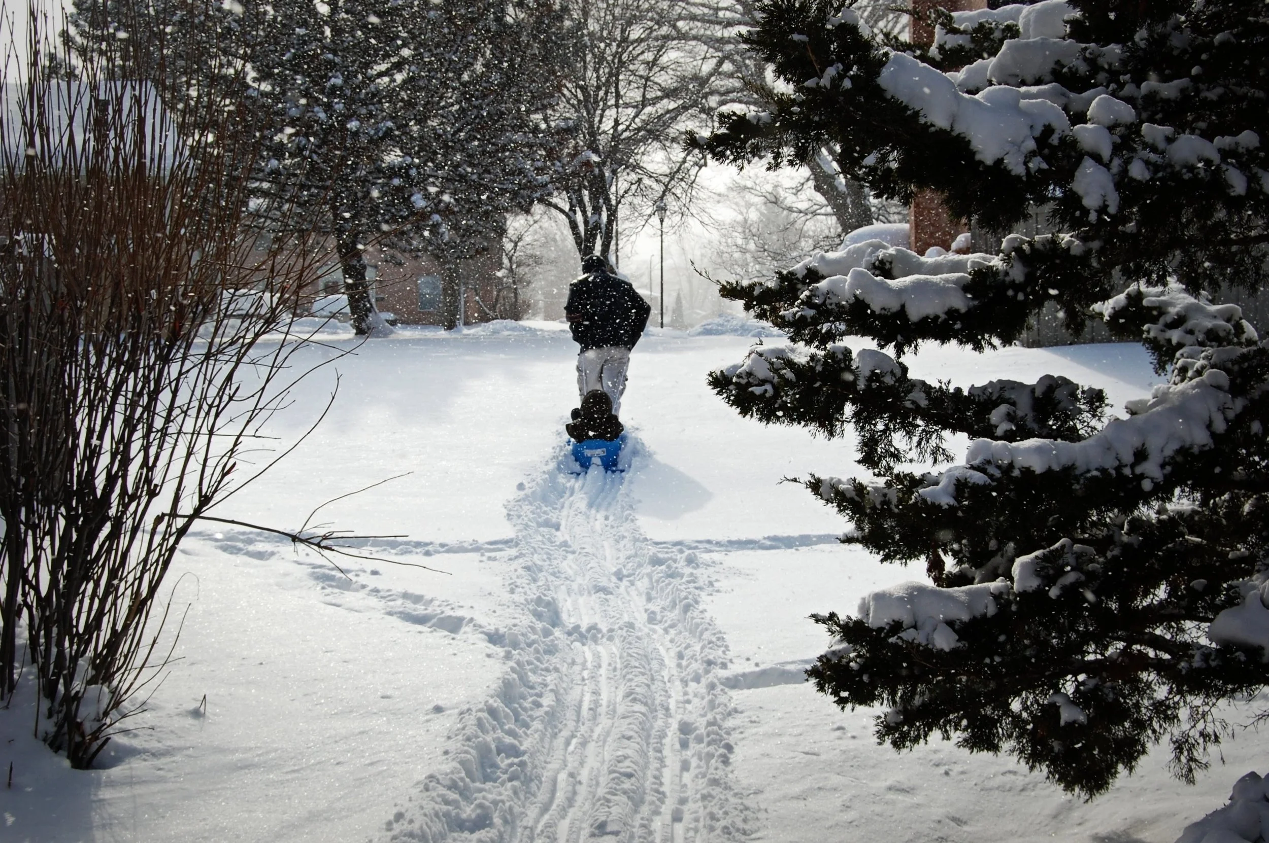 Capture the heartwarming essence of a snowy Indiana winter as a father pulls his son on a sled through a blanket of glistening snow. This nostalgic, playful moment reflects family bonds and pure seasonal joy against the serene backdrop of frosted tre