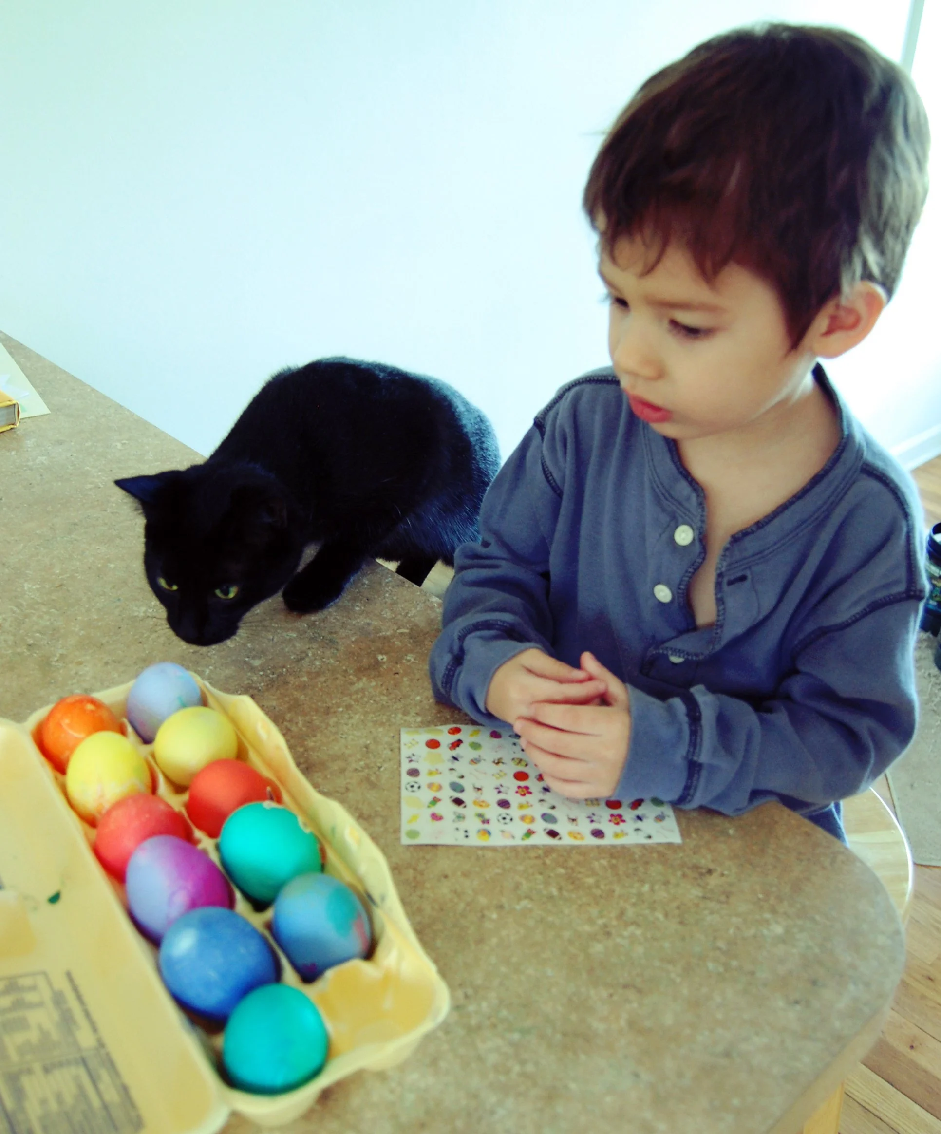 A young boy and a black cat on a kitchen counter with a carton of decorated Easter eggs and a sticker sheet.