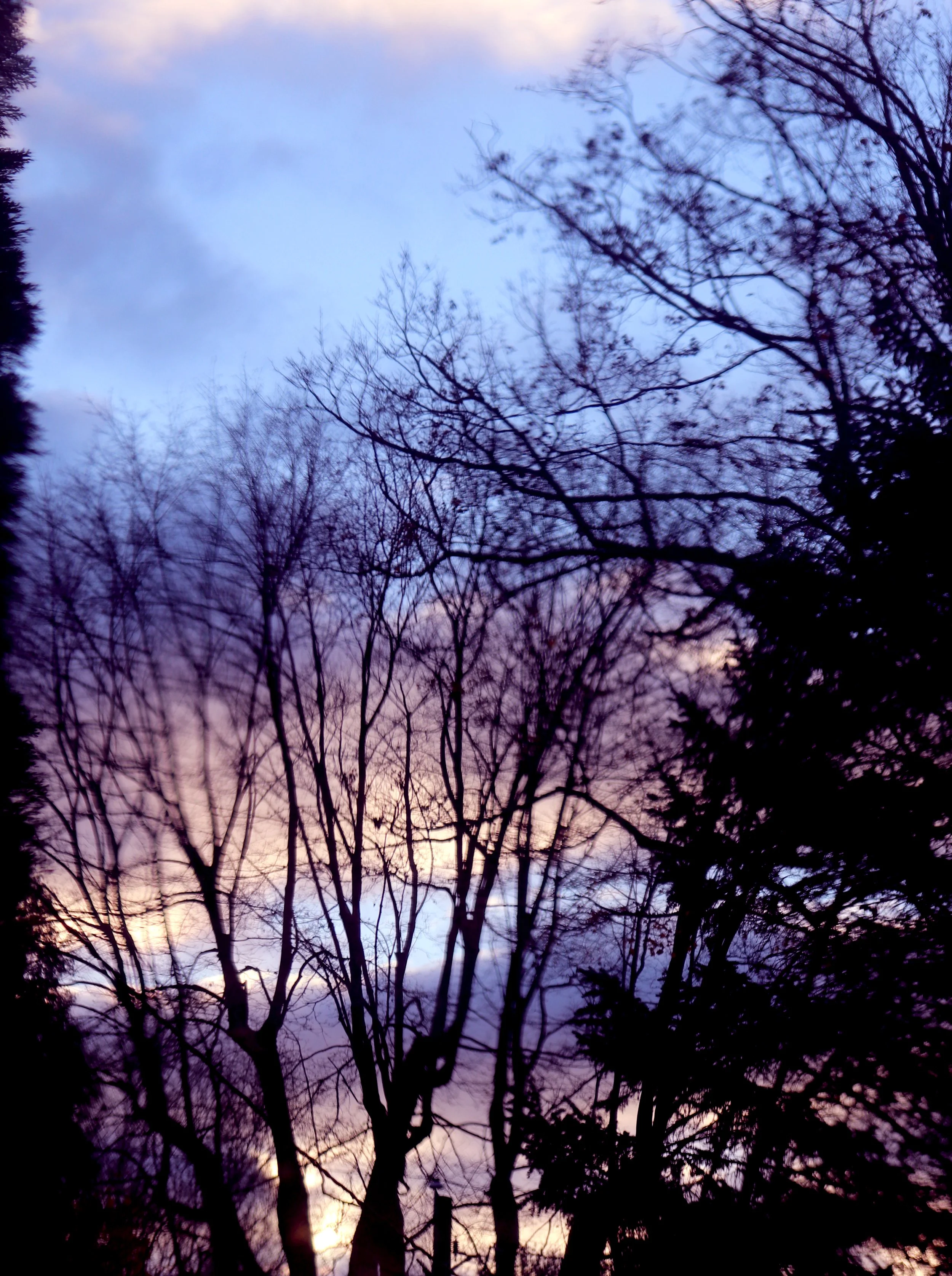 "Winter in Michigan teaches us the power of gratitude as we marvel at the intricate beauty of snowflakes and find warmth in the simple pleasures of a crackling fireplace."