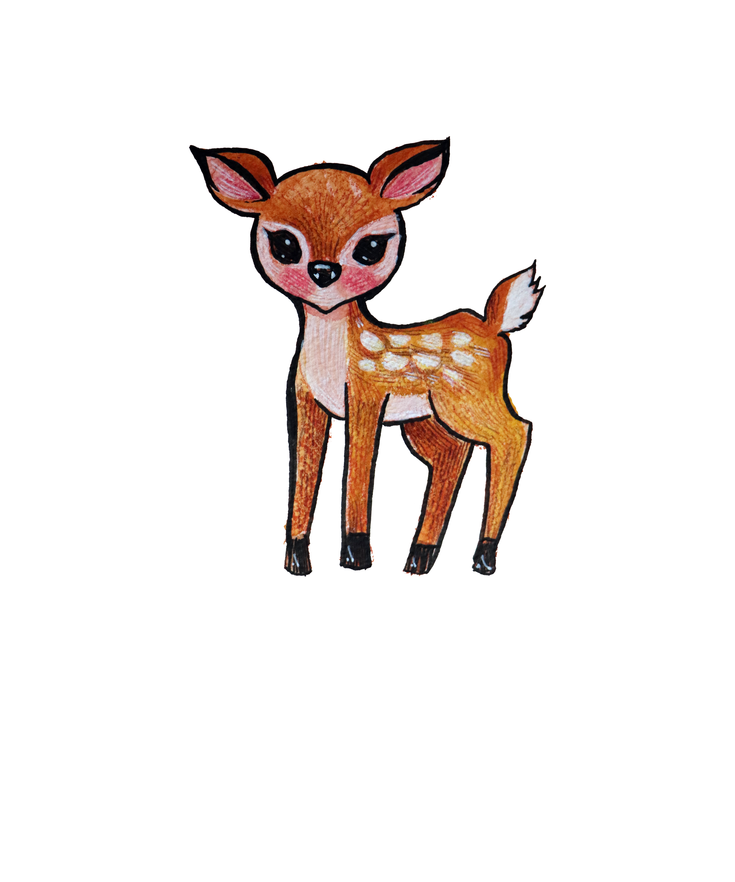 Hand-drawn illustration of a cute baby deer with large eyes, pink cheeks,  white spots on its back, and a white-tipped tail, standing against a simple background.