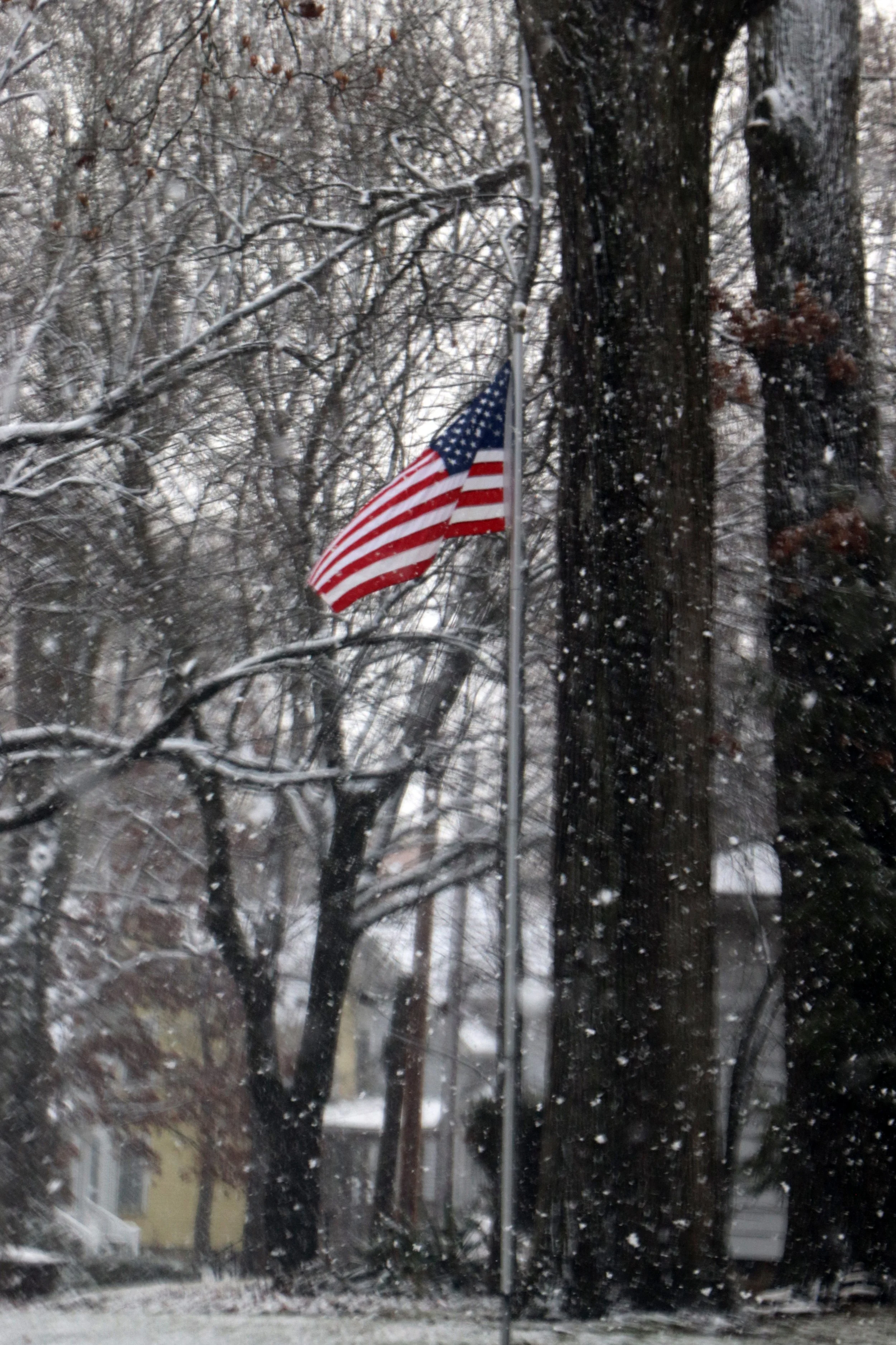 Winter USA Flag