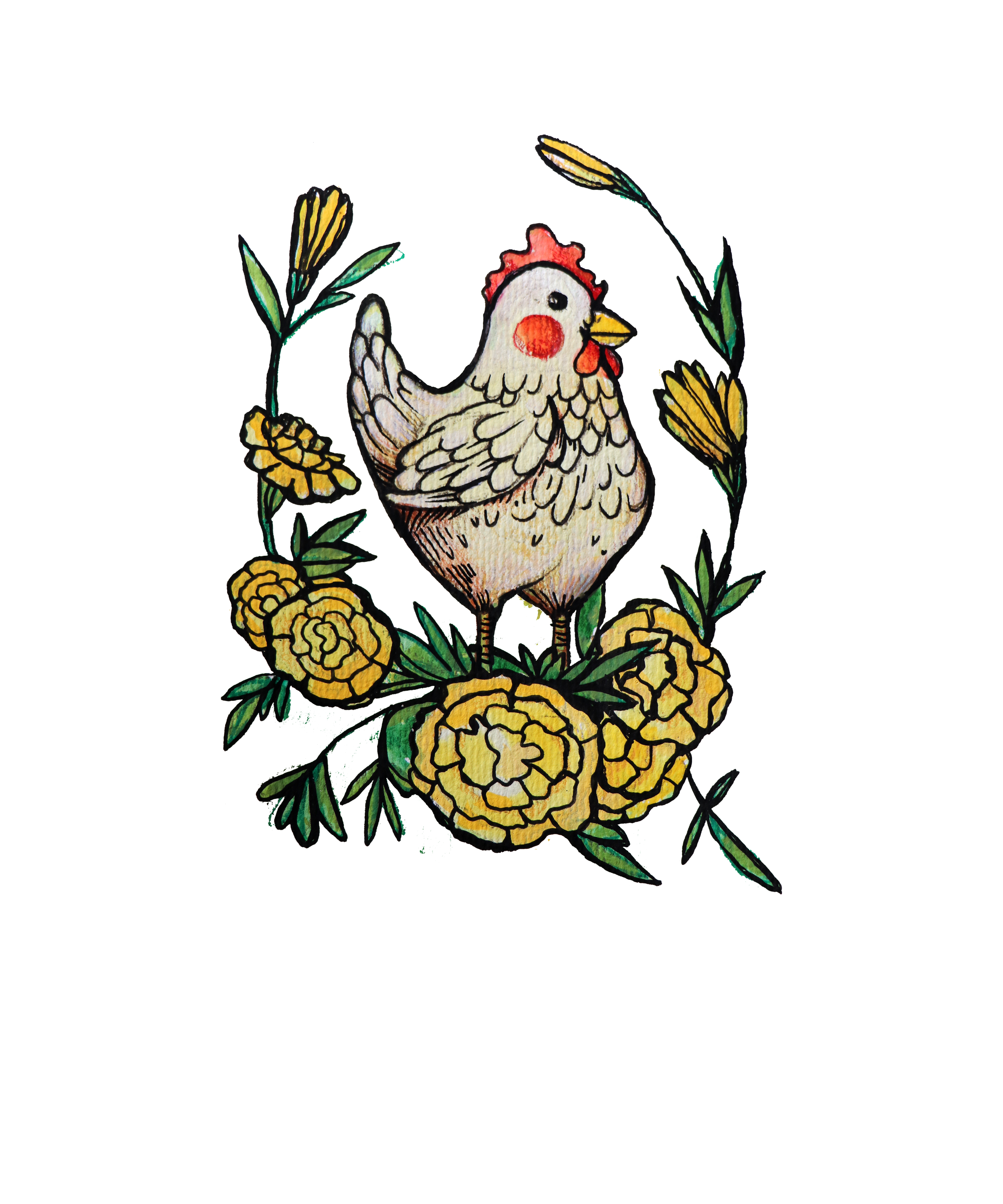 chicken illustration by Lacy Chenault