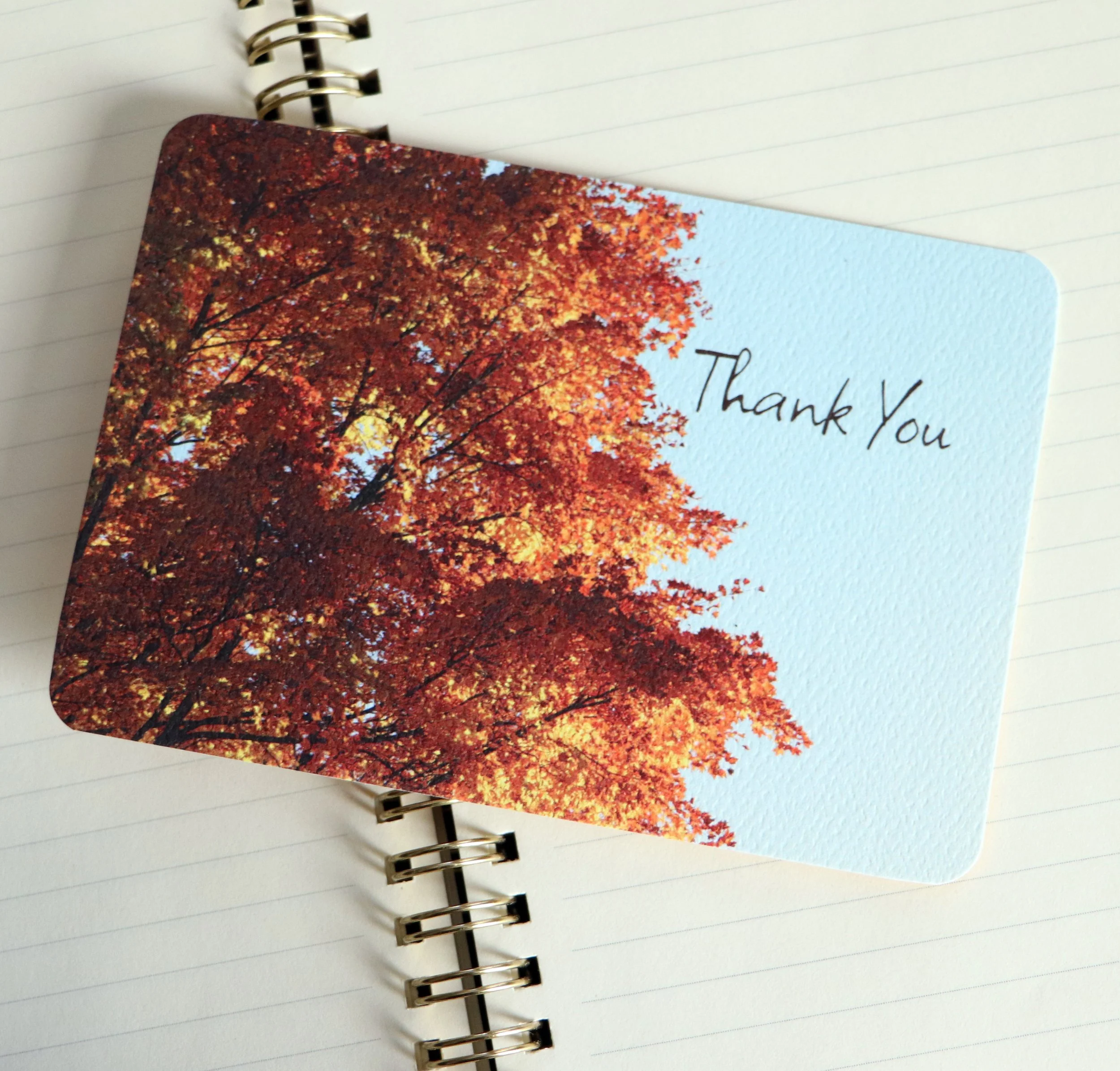Autumn Thank You Card