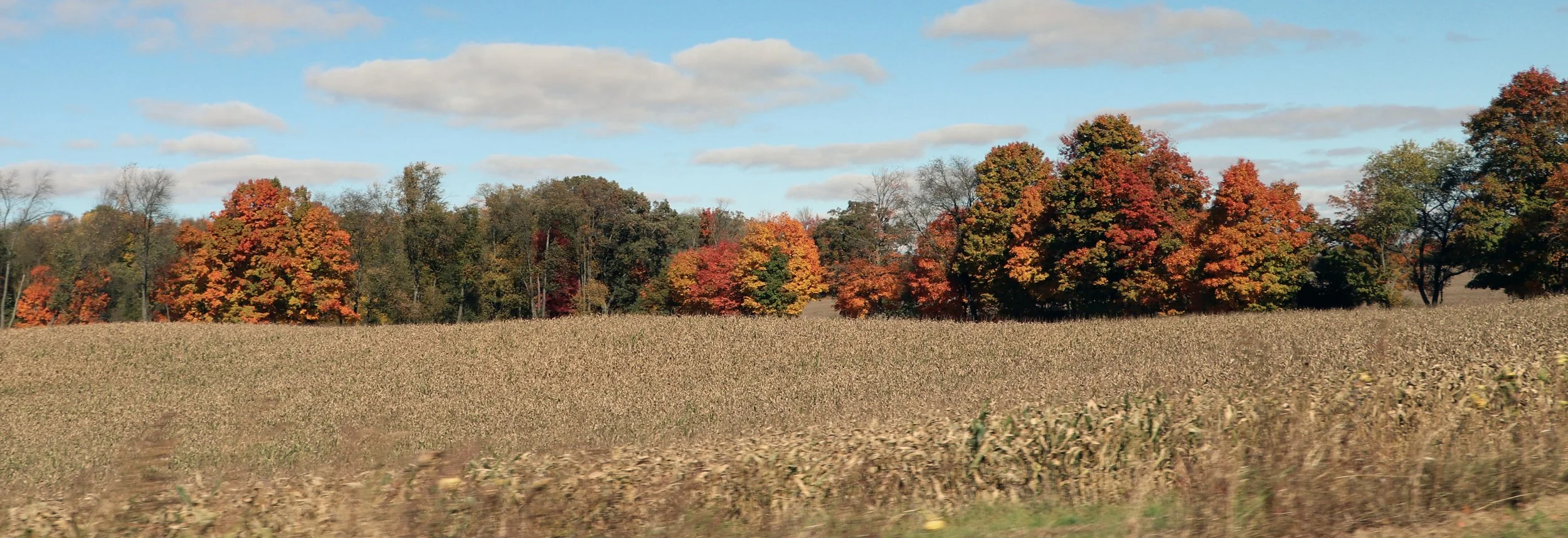 A rural landscape with a field of dried crops and trees with colorful autumn foliage, under a partly cloudy sky.