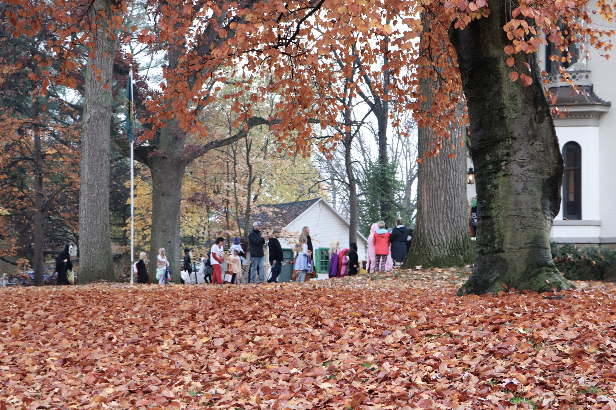 Halloween Trick or Treaters
