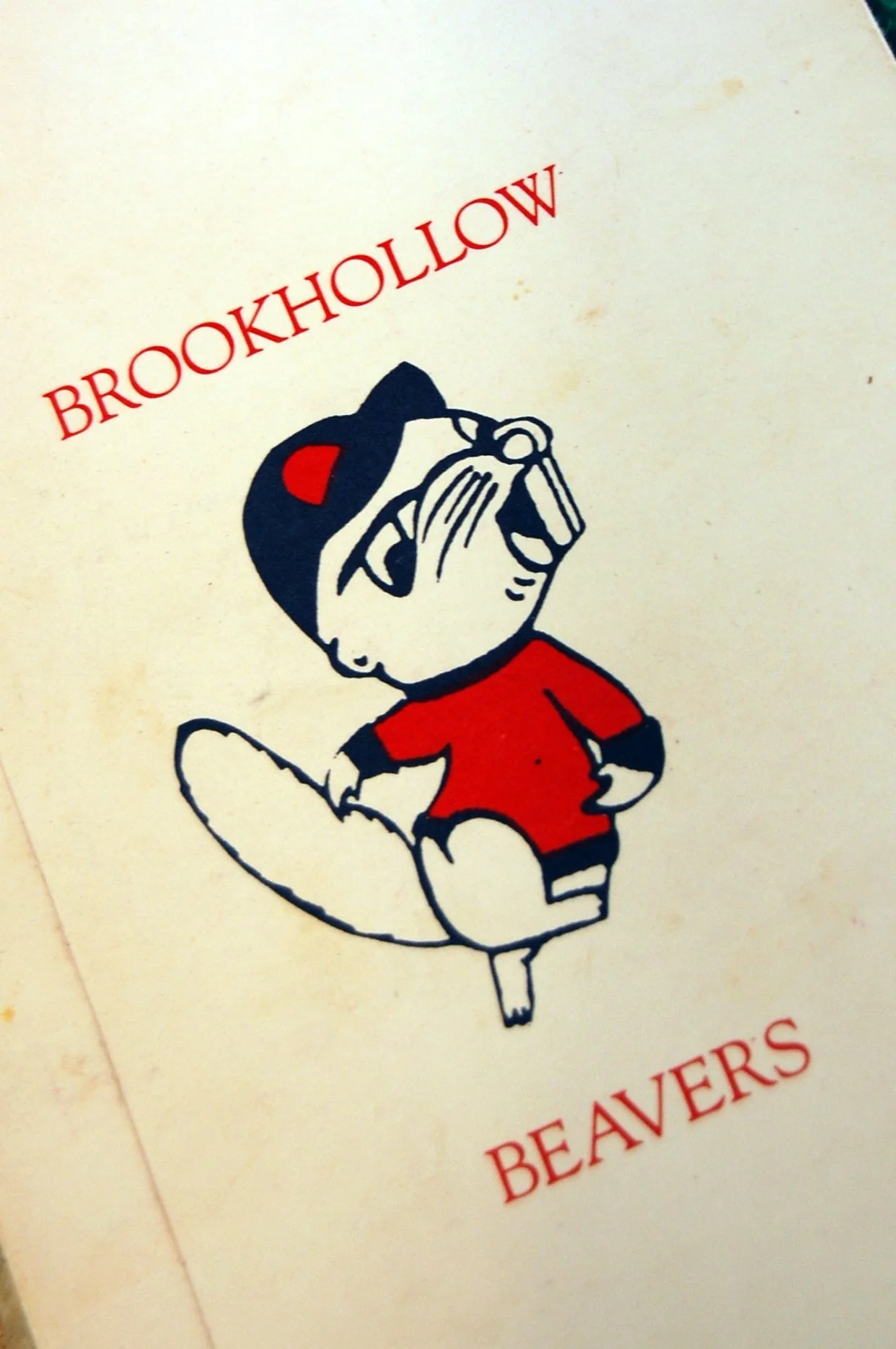 Brookhollow Beavers 