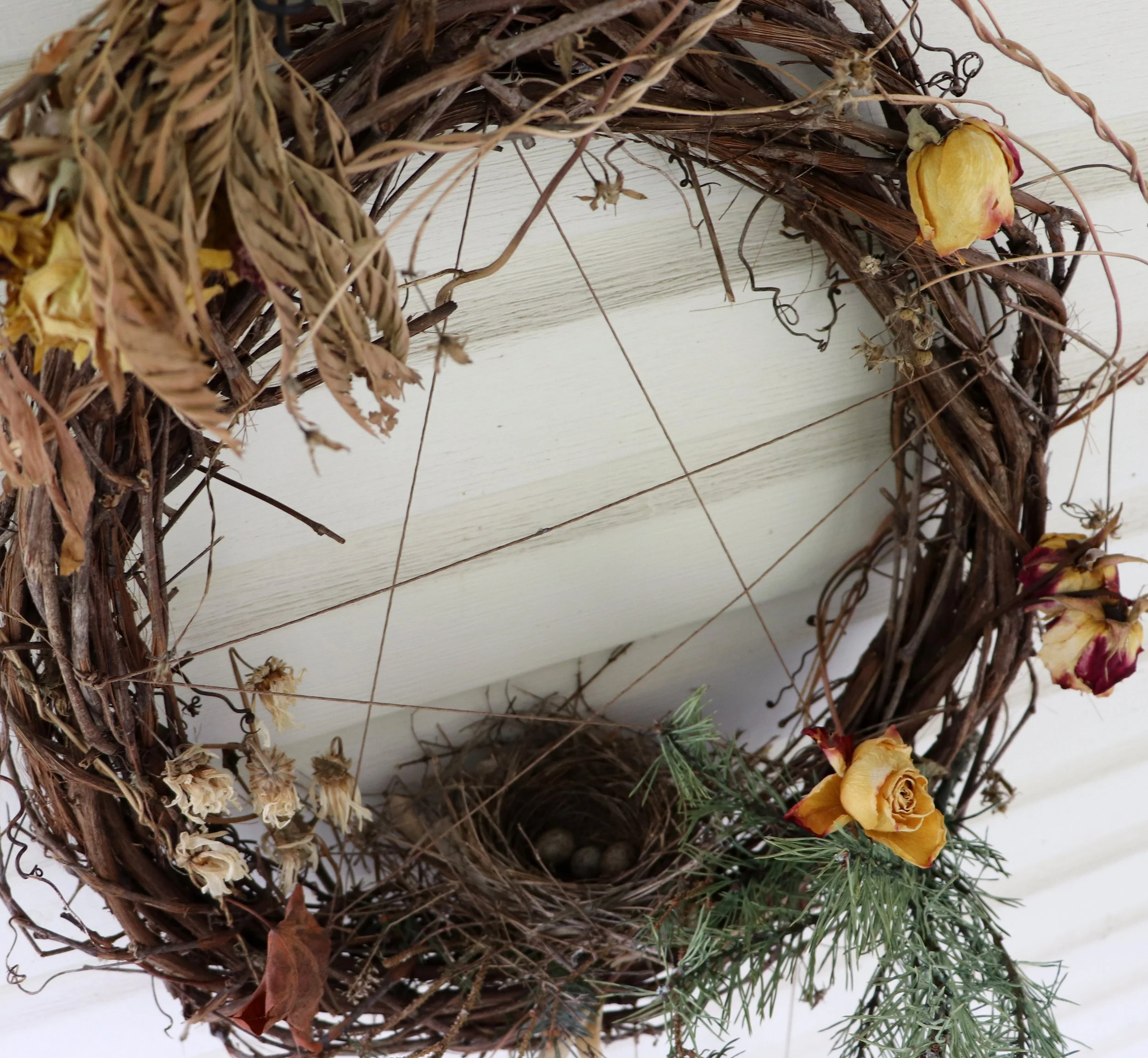 "Let us gather on Earth Day, hand in hand with our fellow humans and all living beings, as we pledge to be stewards of the Earth, nurturing and protecting the delicate balance of life."