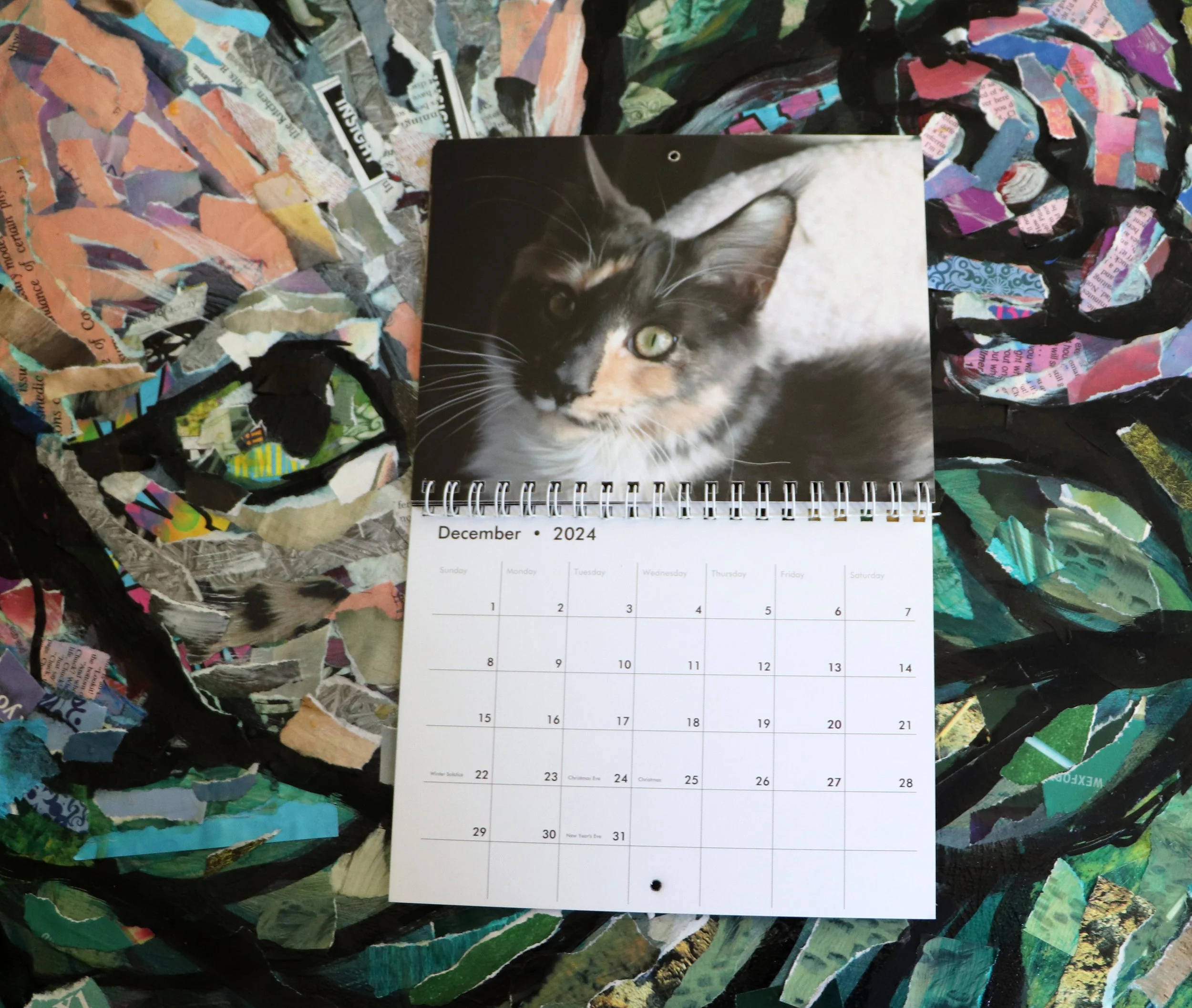  Discover Lacy Chenault’s stunning cats photography, a true homage to feline beauty. Her lens captures every whisker, glance, and stretch with artistic brilliance. Ideal for cat lovers, her photos blend technical skill and genuine passion, creating u