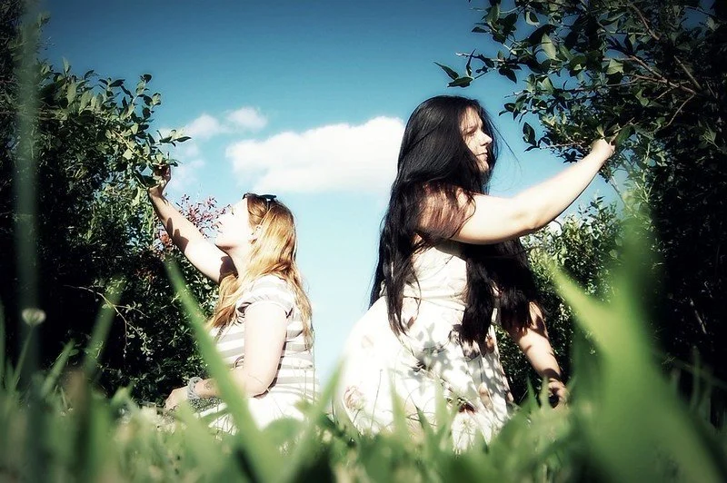 Two women picking berries or fruit from bushes outdoors on a sunny day, with green grass and blue sky in the background.