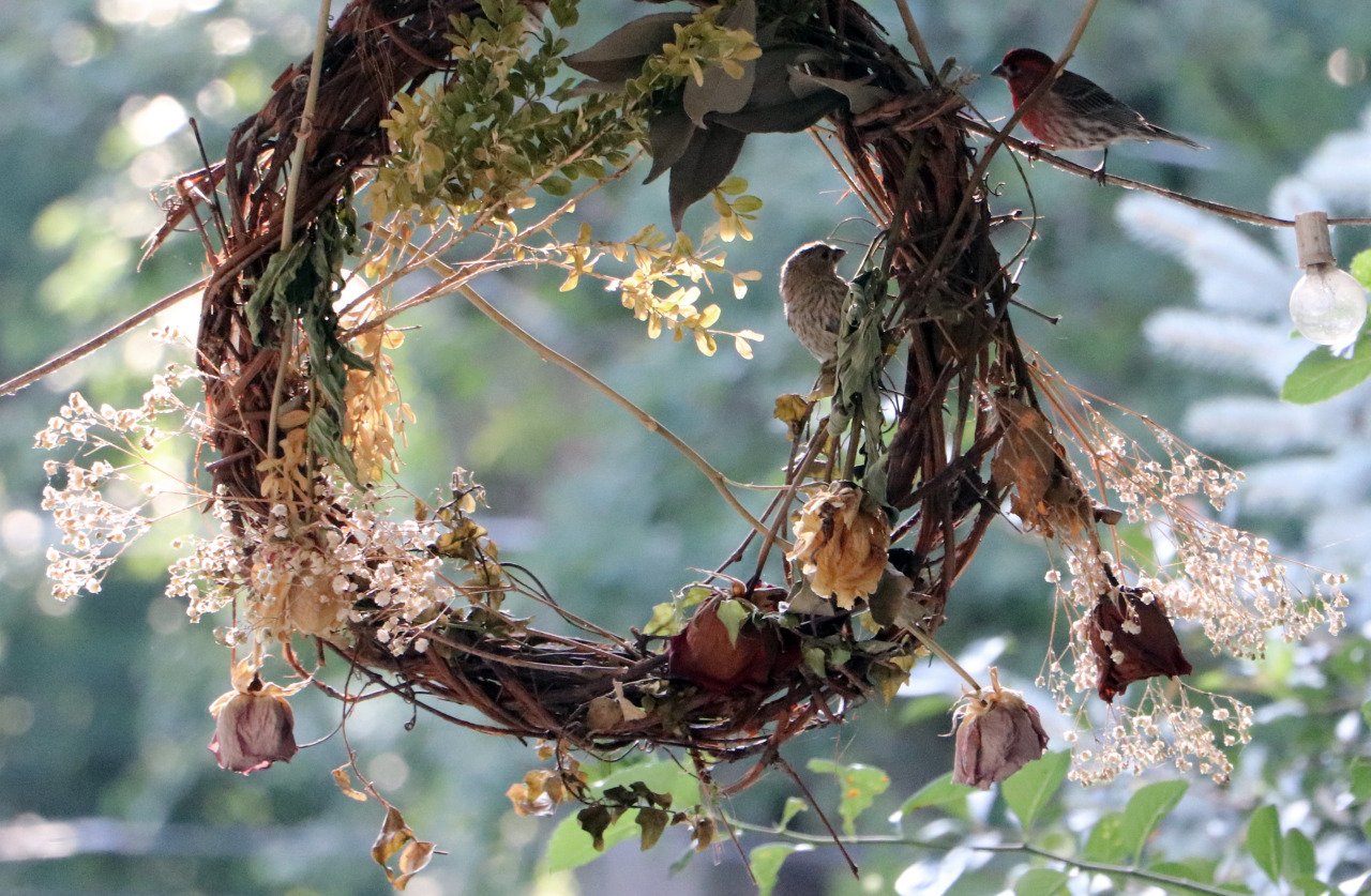"The intricate nests birds weave reflect the power of creativity and resourcefulness, showing us that even the simplest materials can create something extraordinary."