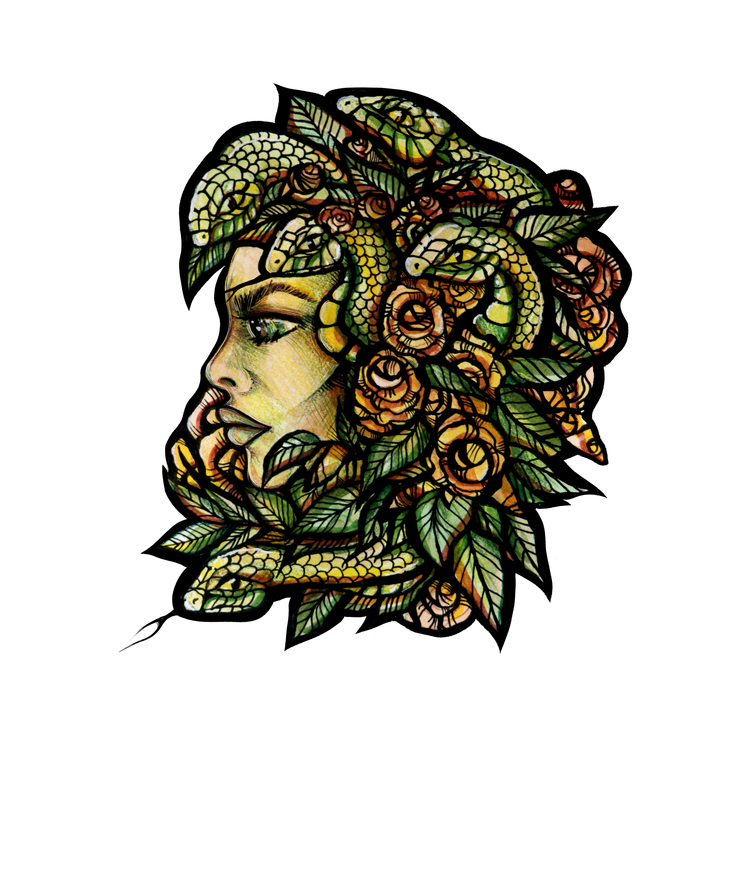 Medusa art