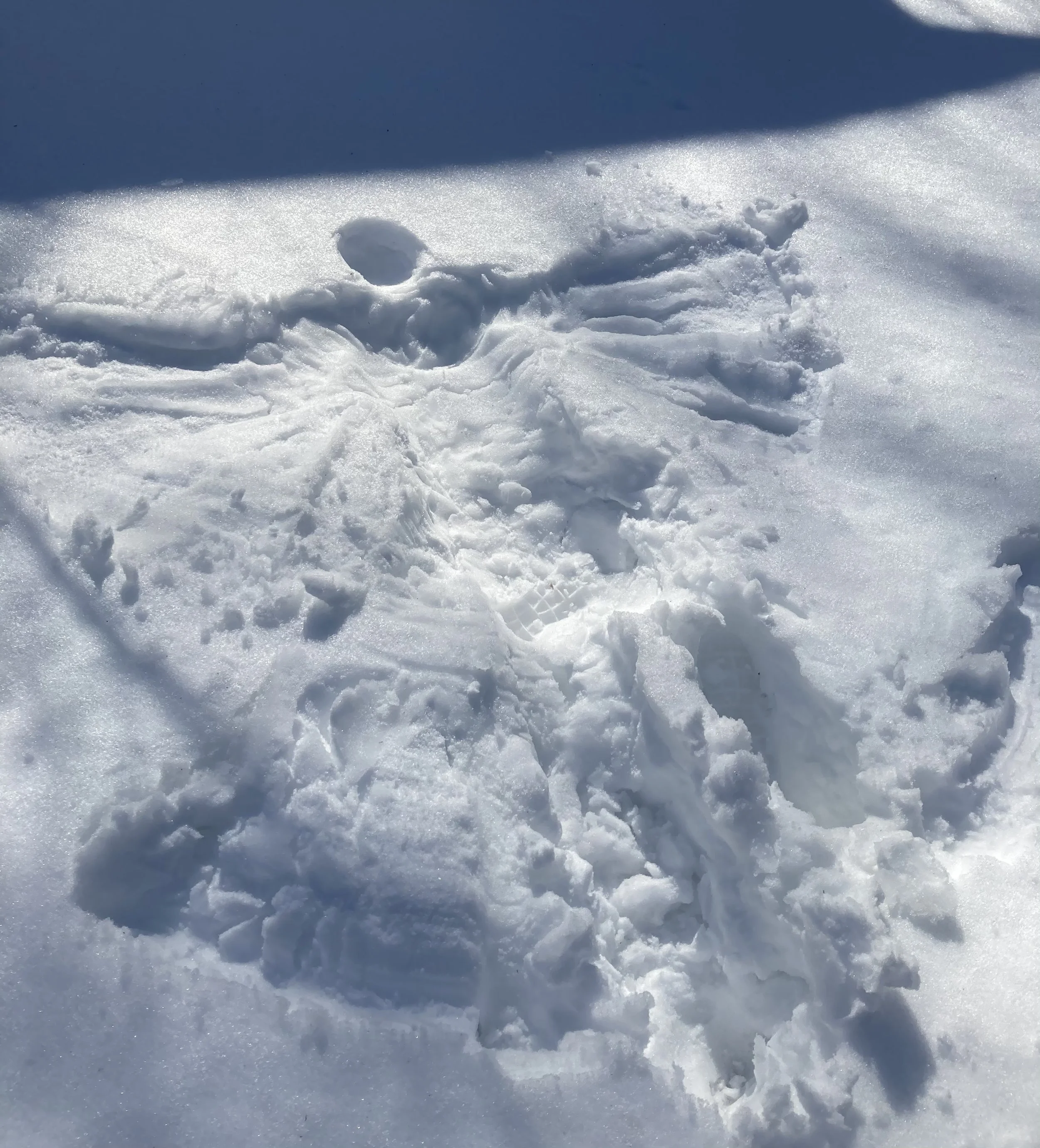 A mesmerizing "Snow Angel in Michigan" photo captures the essence of winter magic. Framed by frosty trees, this enchanting image evokes nature's harmony, a witchy allure, and soulful femininity. Perfect for earth-loving spirits, Wiccans, and music-in