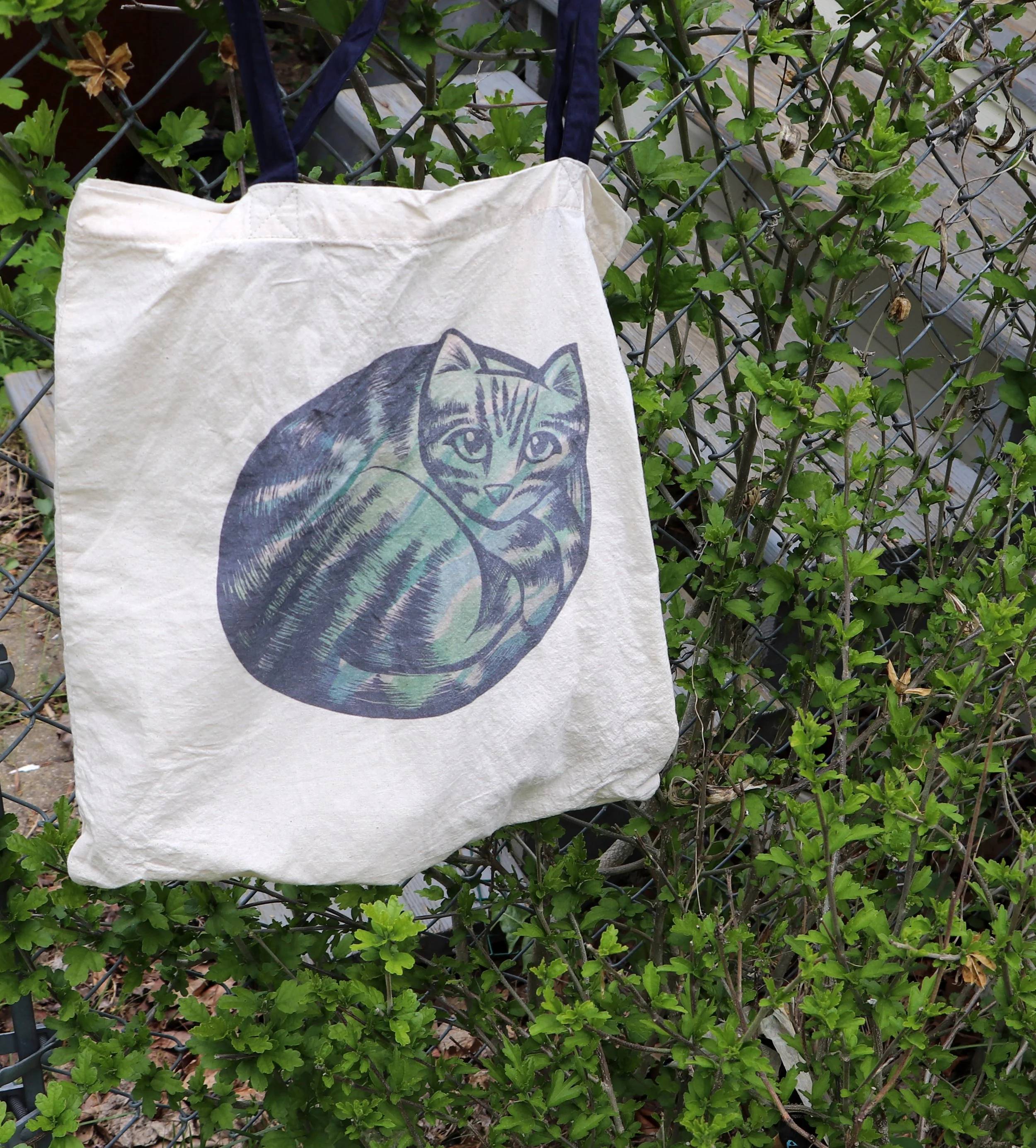 The lacy landscapes of Michigan provide an inspiring backdrop for creating art that captures the essence of cats and kittens.