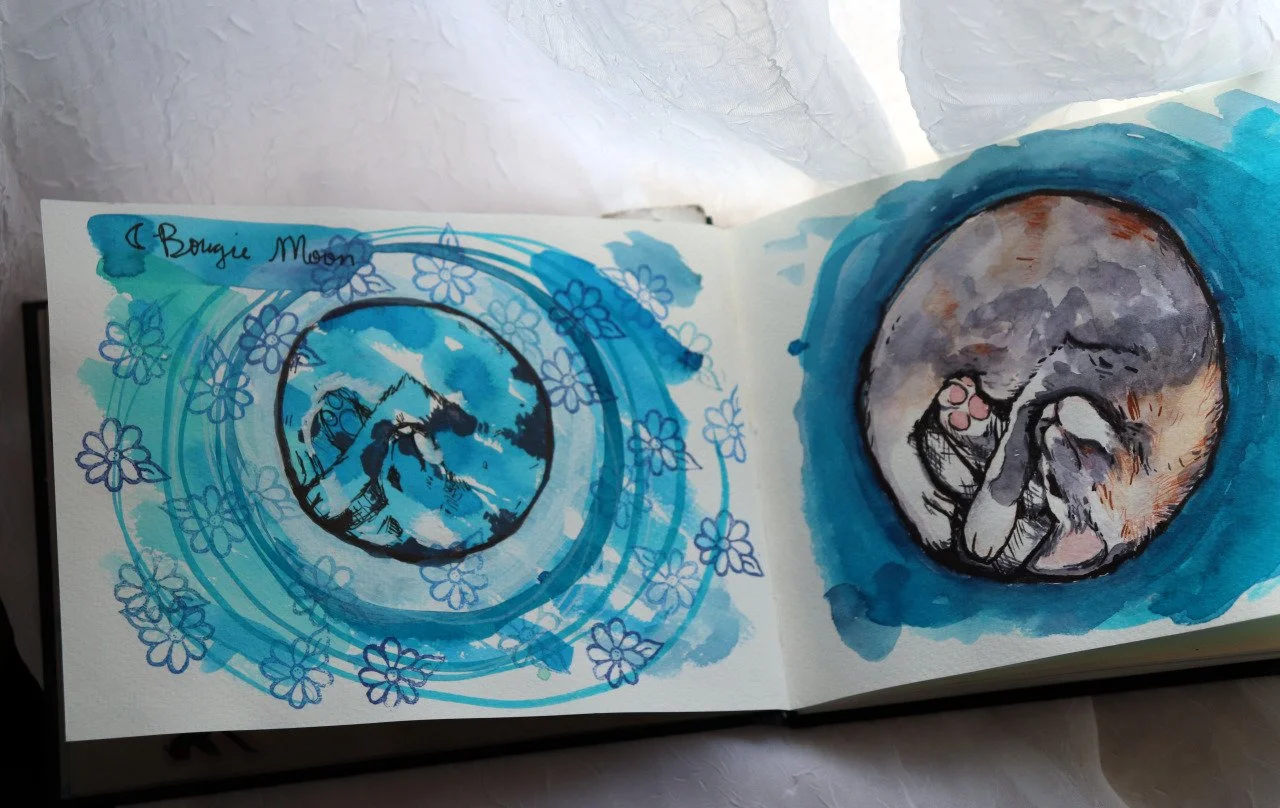 In the world of enchantment, Maine Coon cats were often thought to be the ultimate witchy familiars, bridging the gap between the earthly and the mystical.