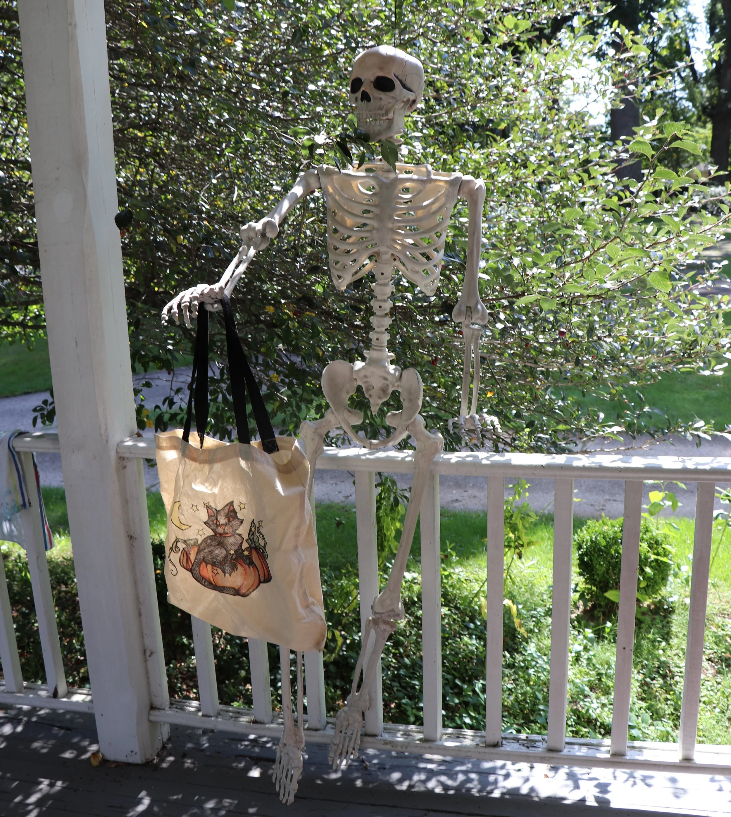 Black Cat Halloween Tote Bag