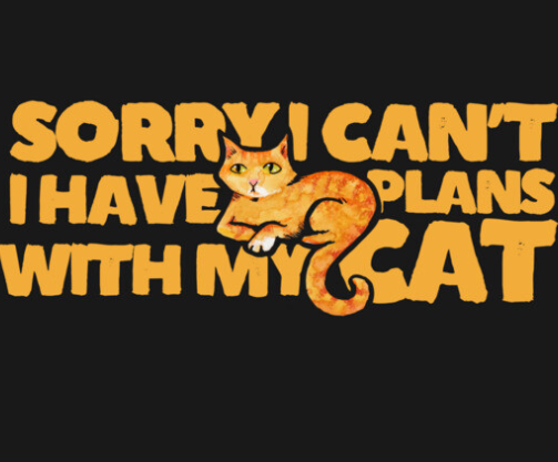 Text that reads 'Sorry I can't have plans with my cat' with an illustration of an orange tabby cat in the center.