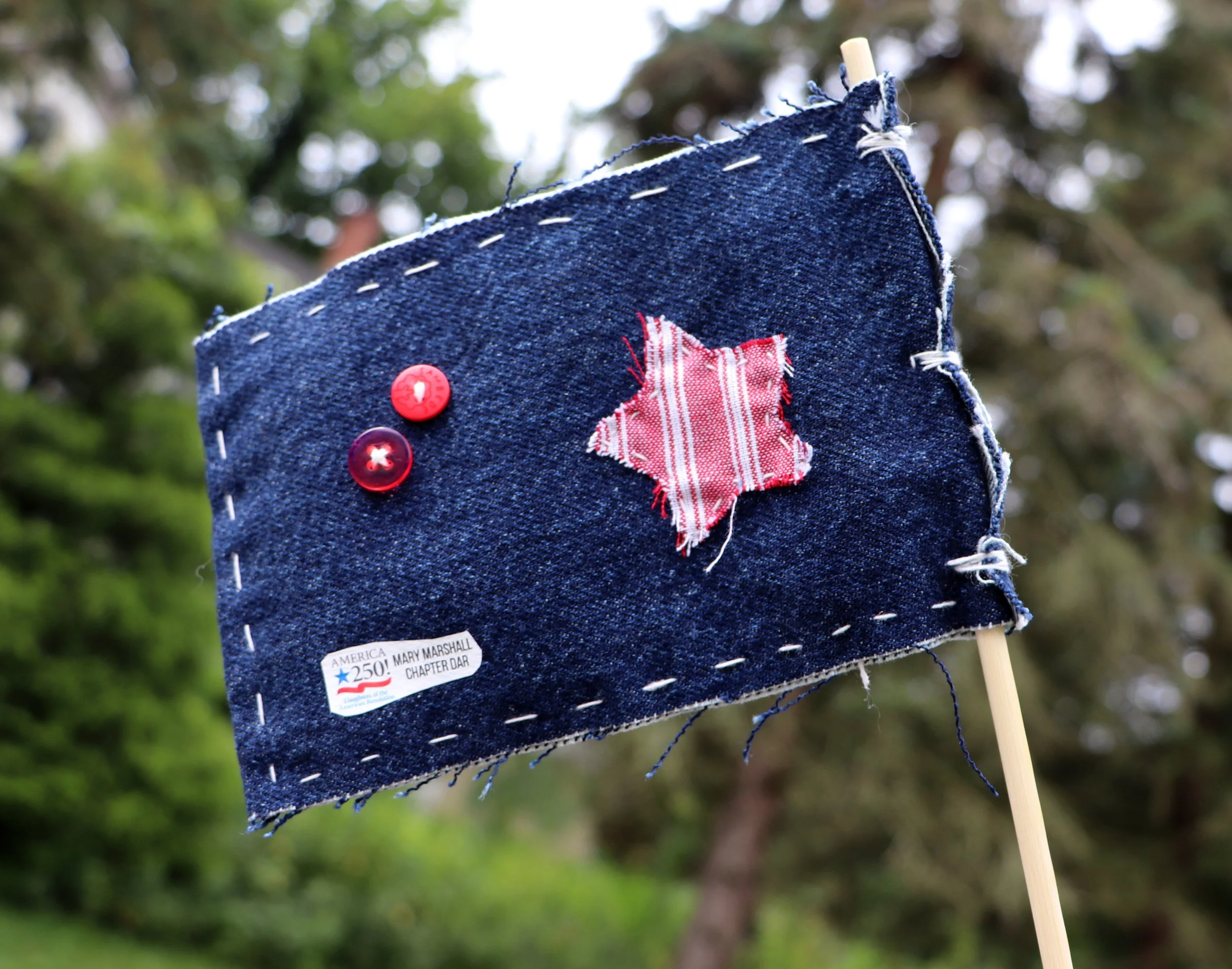 A small denim flag with red buttons and a patch that reads 'America 250! Mary Marshall Chapter Dar' attached to a wooden stick, outdoors with blurred green trees in the background.