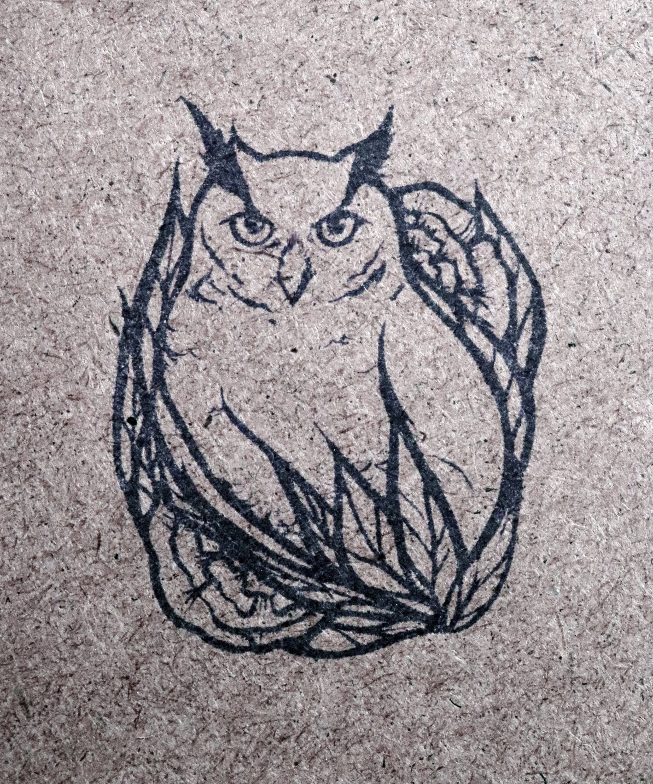 Owls, symbols of wisdom and mystery, find a special place in Lacy's heart as she immerses herself in Michigan's natural beauty.