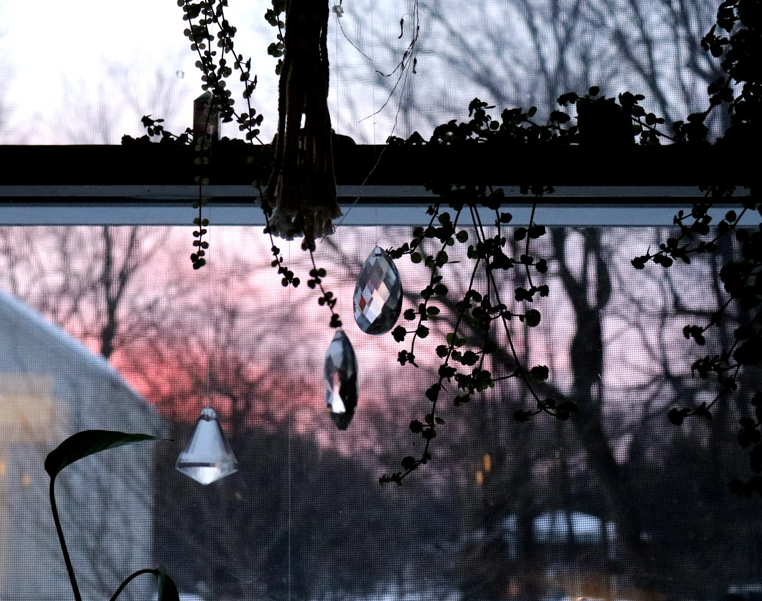 A view from an indoor window with a screen, showing a tree and a pink sky at dusk or dawn. Hanging decorations including a glass or crystal ornament are visible in the foreground.
