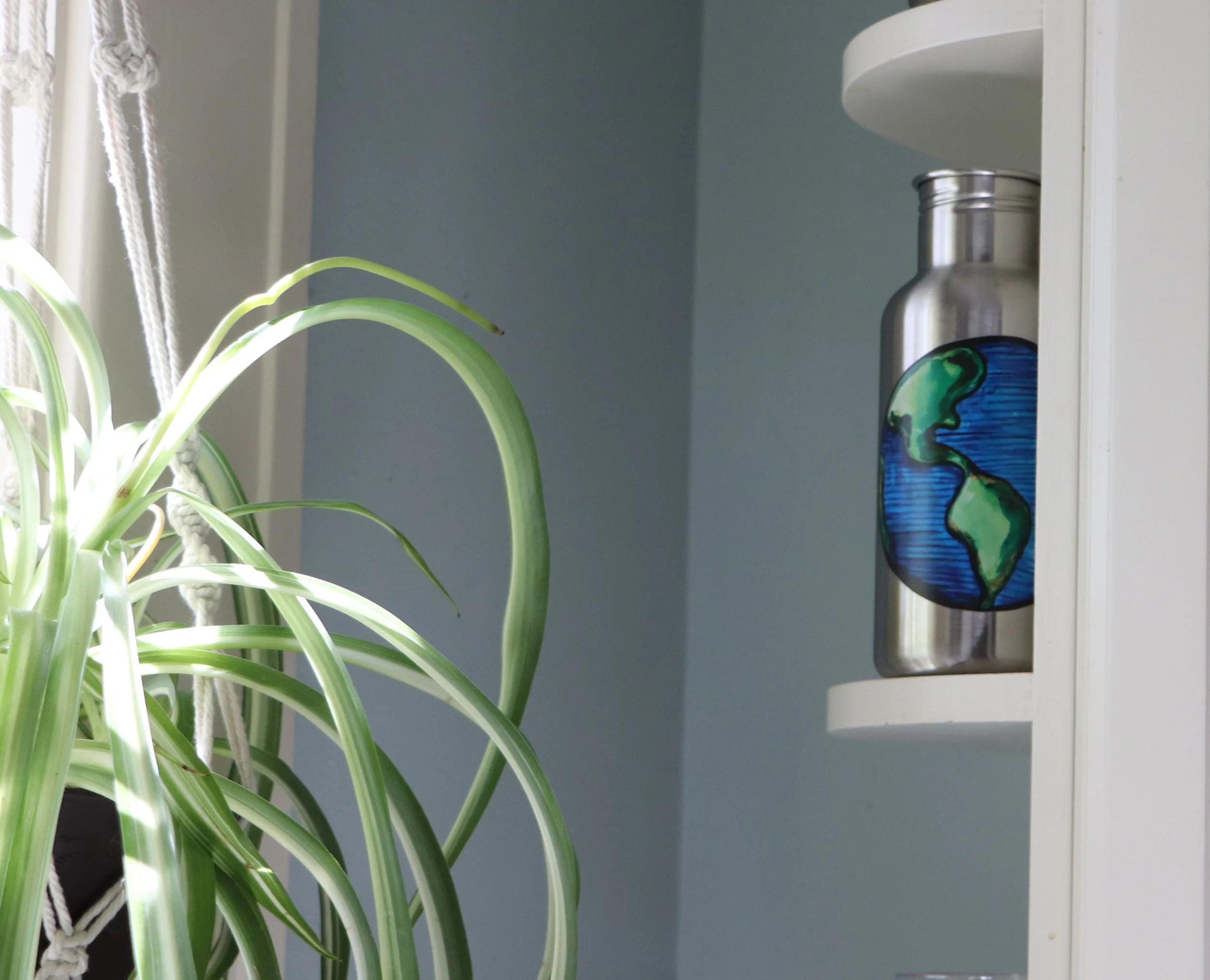 Earth water bottle