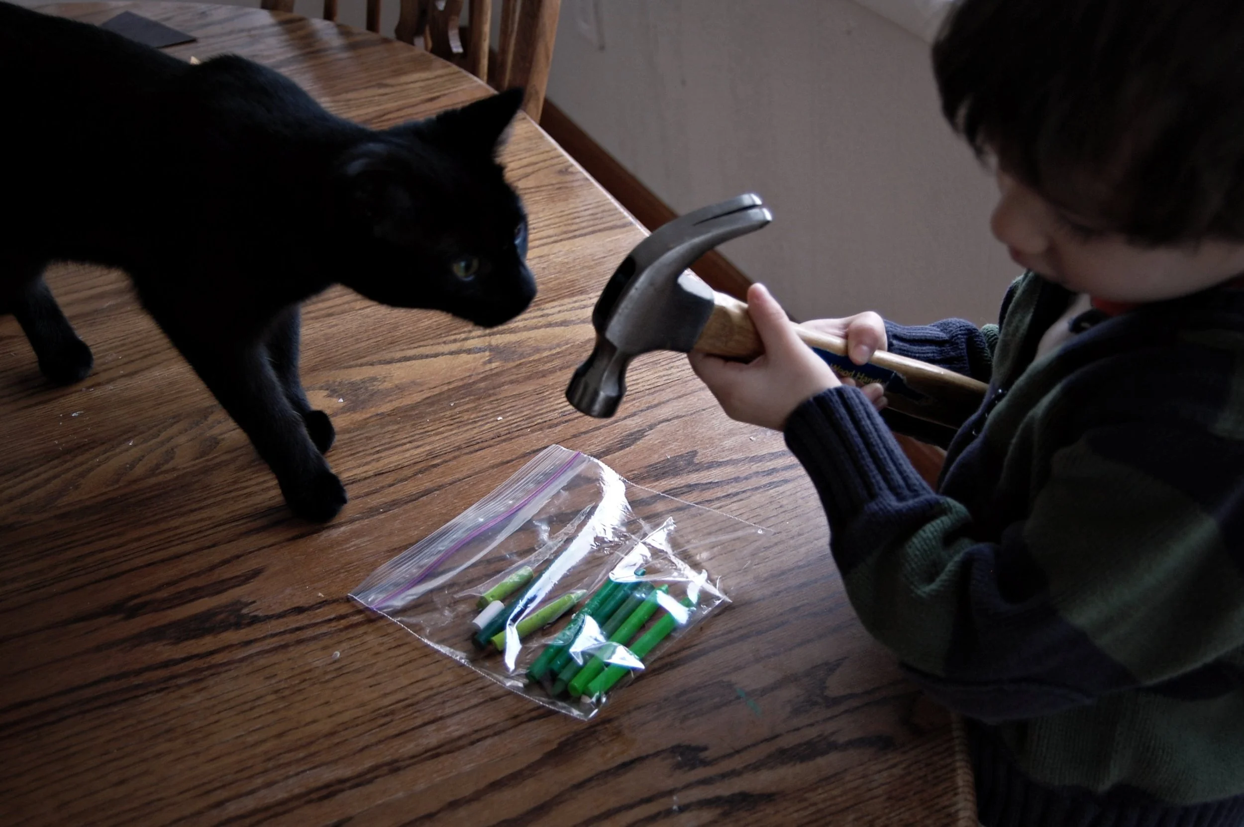 A young boy holding a hammer near a black cat on a wooden table. There is a plastic bag with several green and white chalk pieces on the table.