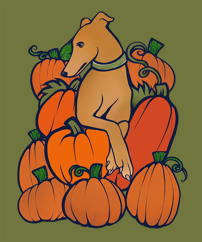 Greyhound with Pumpkins