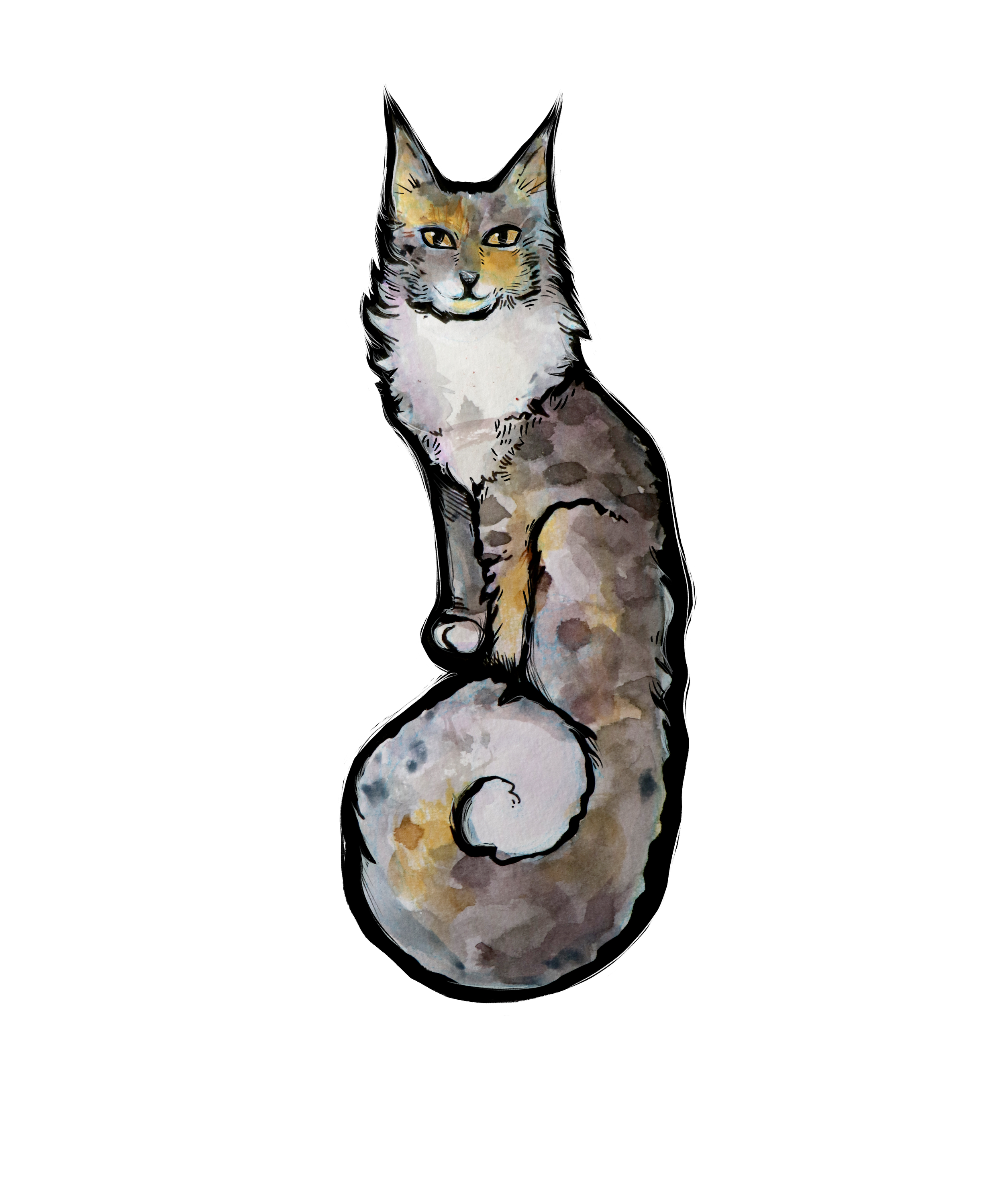 Watercolor painting of a sitting long-haired cat with an earring on one ear, against a black background.