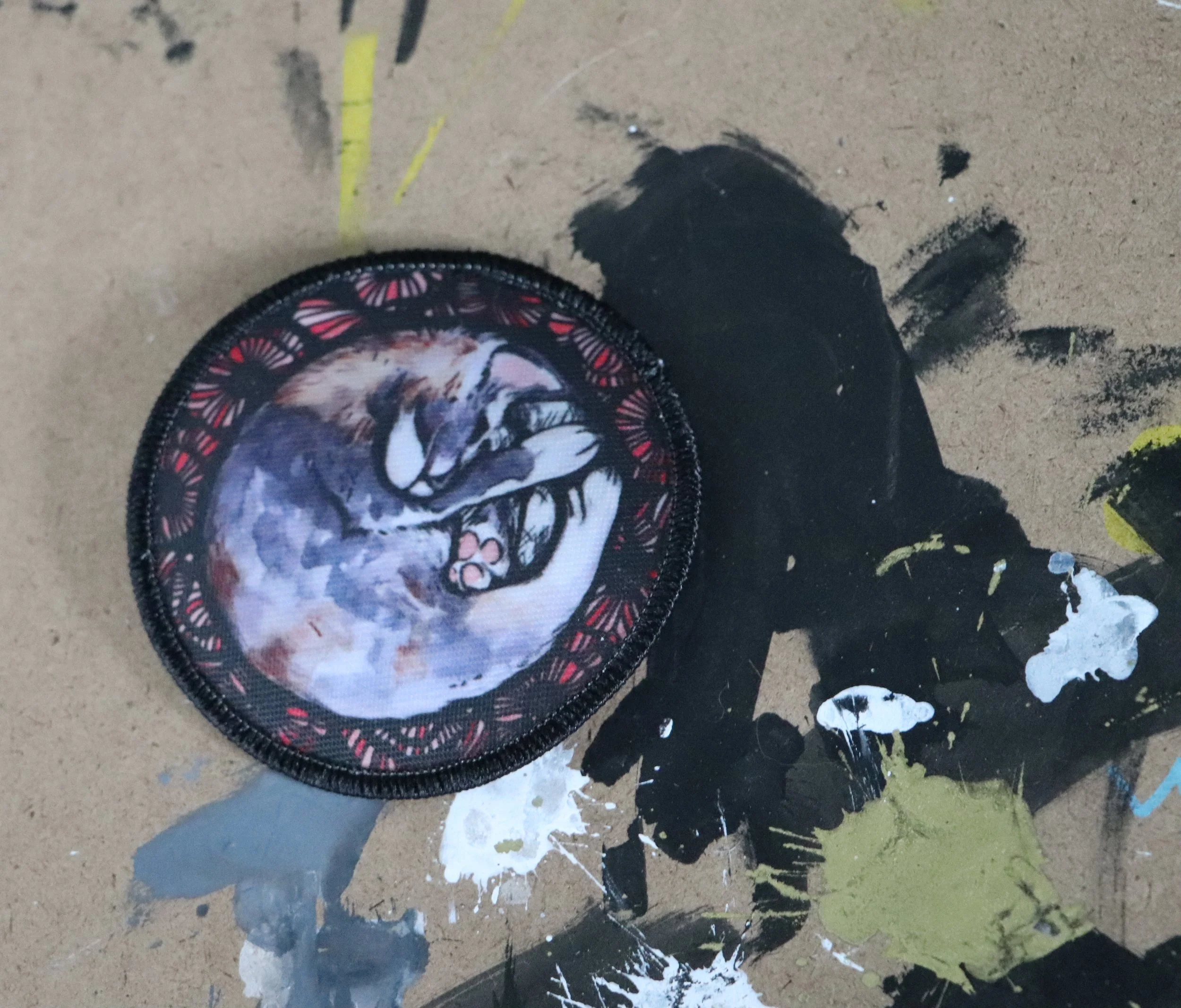 The dilute calico Maine Coon had a penchant for adventure, often climbing to the highest perch to survey her kingdom.