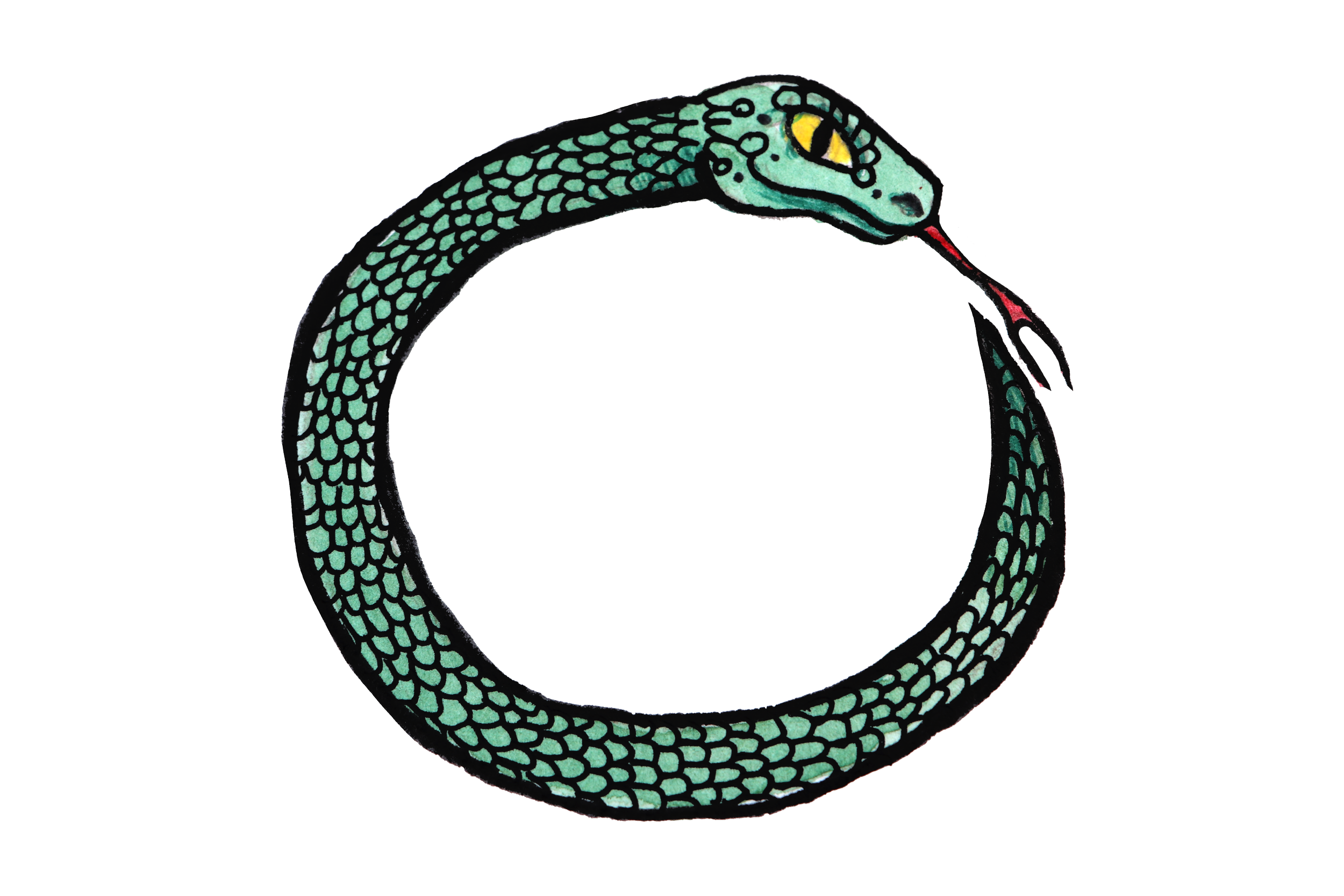 Illustration of a snake with green scales, yellow eyes, and a red tongue, coiled against a black background.