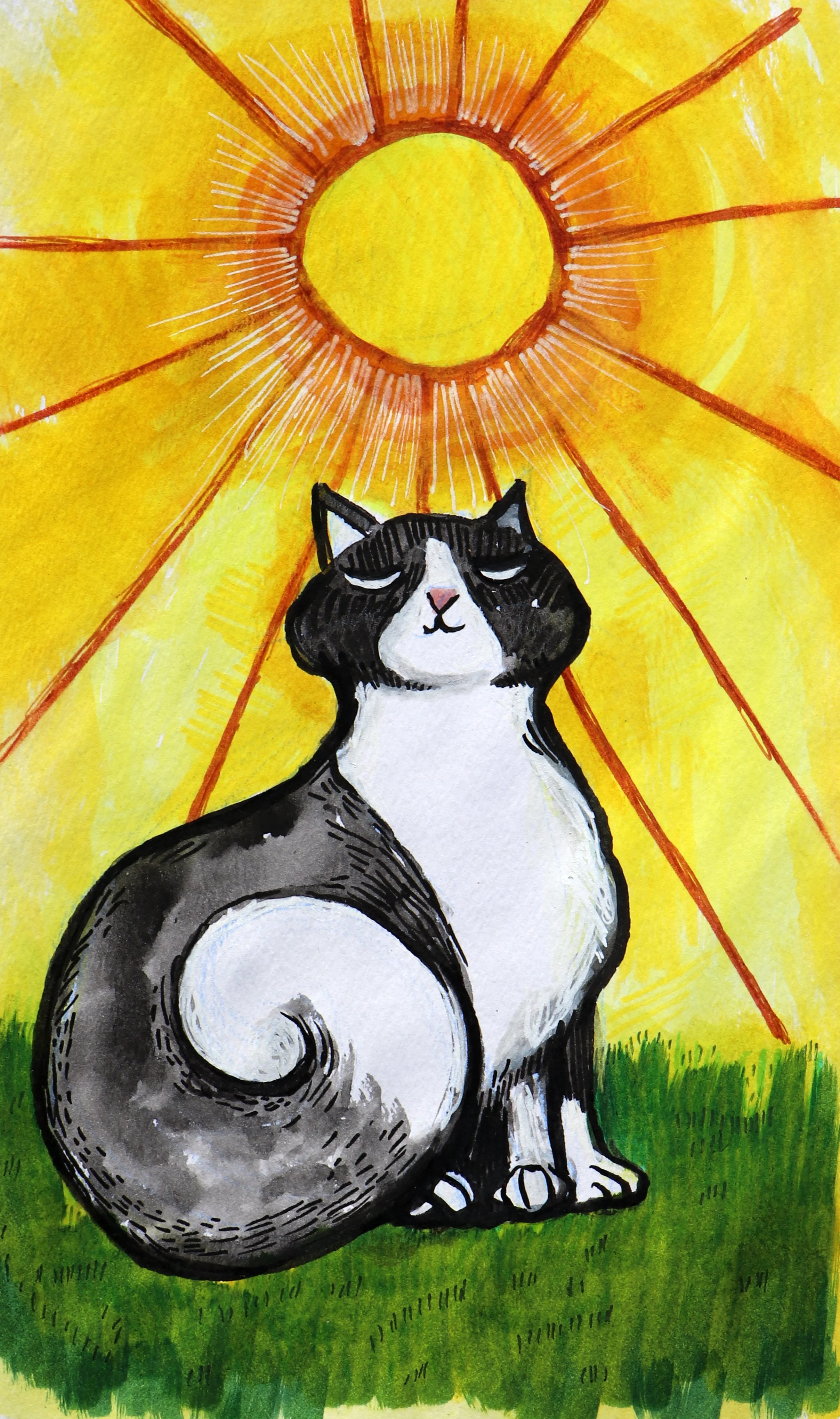 Tuxedo Cat Sunshine