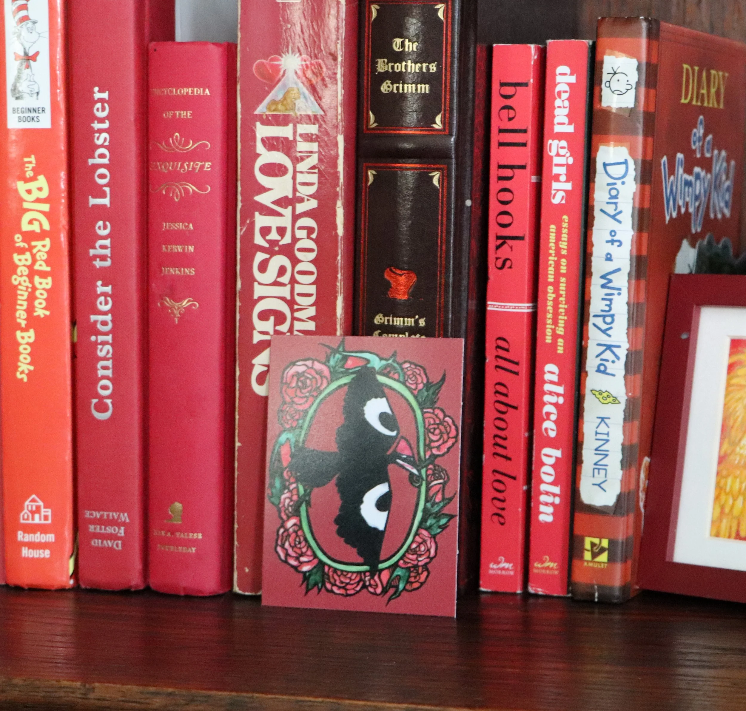 Close-up of a row of red books on a dark wooden shelf, with titles including 'The Best Beginner Books', 'Dictionary of the', and 'The Brothers Grimm'.