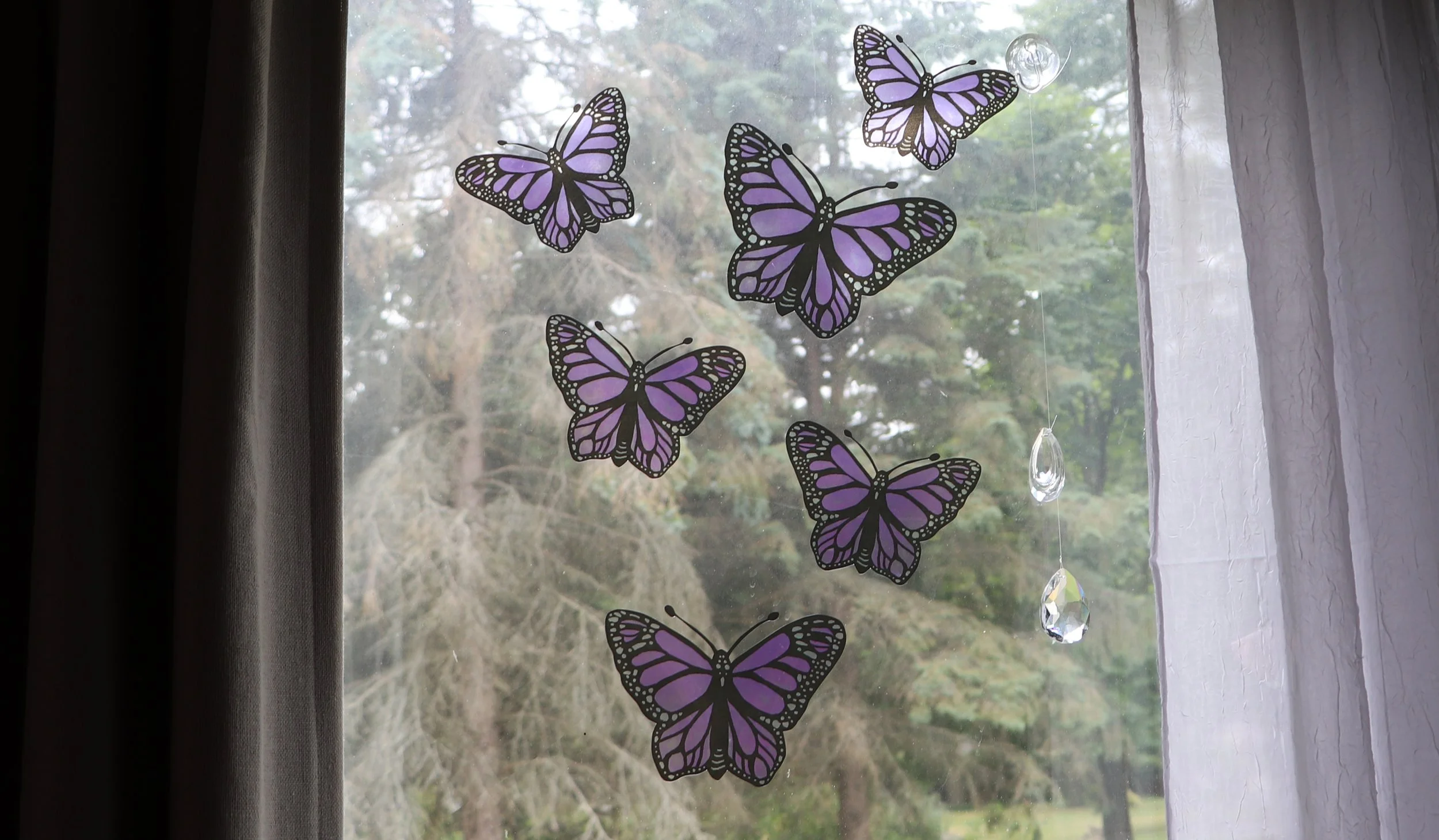 Purple butterfly window clings