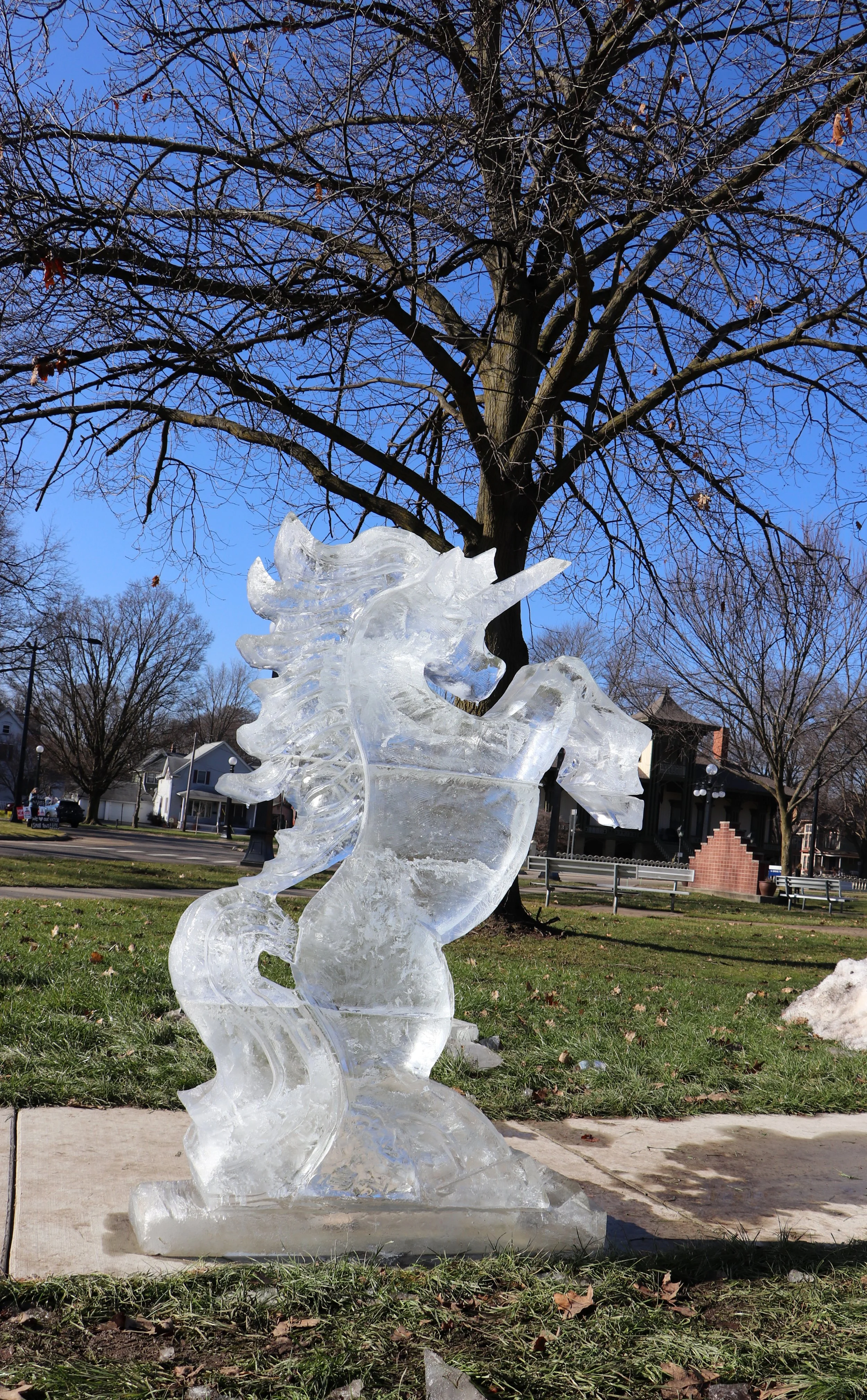 Marshall Ice Festival Marvel at the breathtaking ice sculpture of a unicorn in Marshall, Michigan, crafted with enchanting detail during the annual festival. This mystical masterpiece celebrates nature, artistry, and feminine energy, blending magical