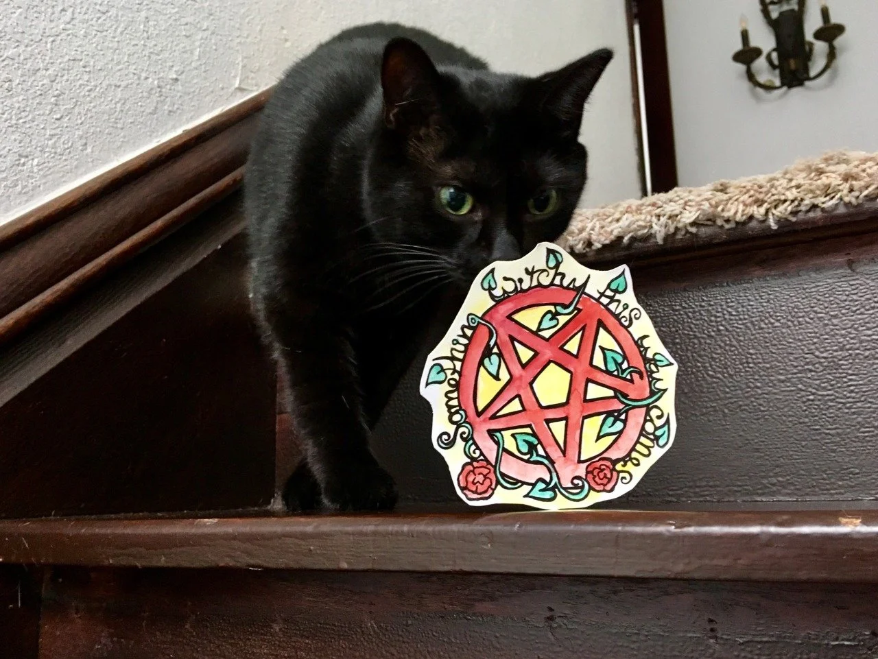 Pentacle black cat witch
