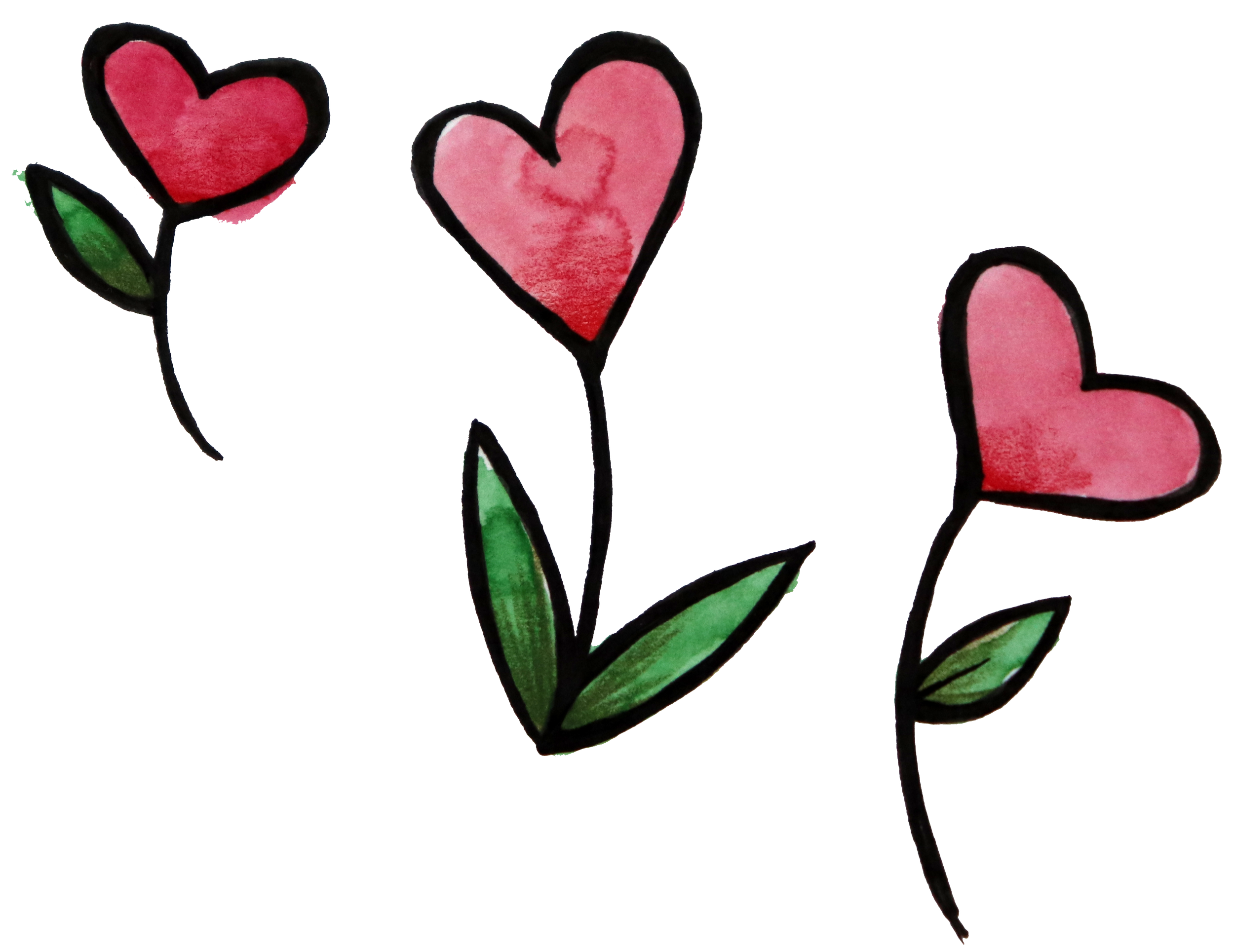 Watercolor illustration of three pink and red hearts with green leaves and black outlines, resembling flowers.