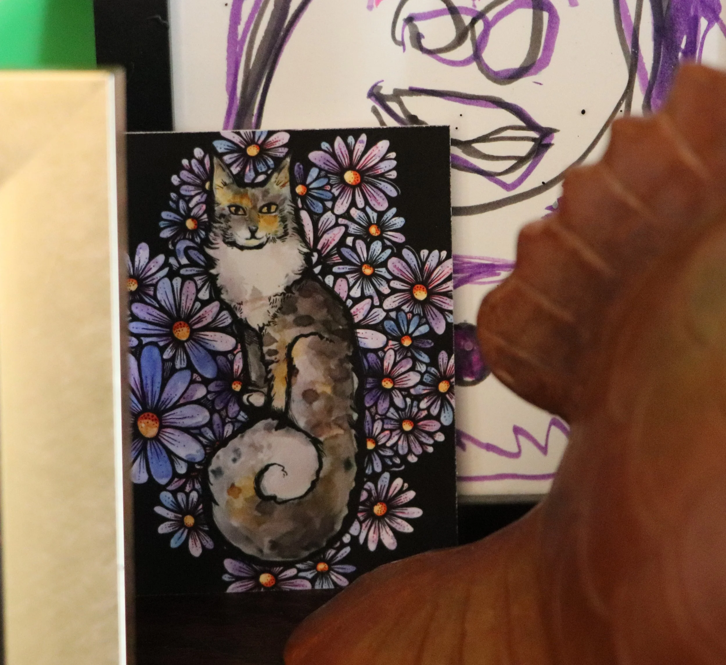 When you meet a dilute calico Maine Coon cat, you can't help but feel a sense of wonder, as if you've encountered a witch's familiar with a deep connection to the supernatural.