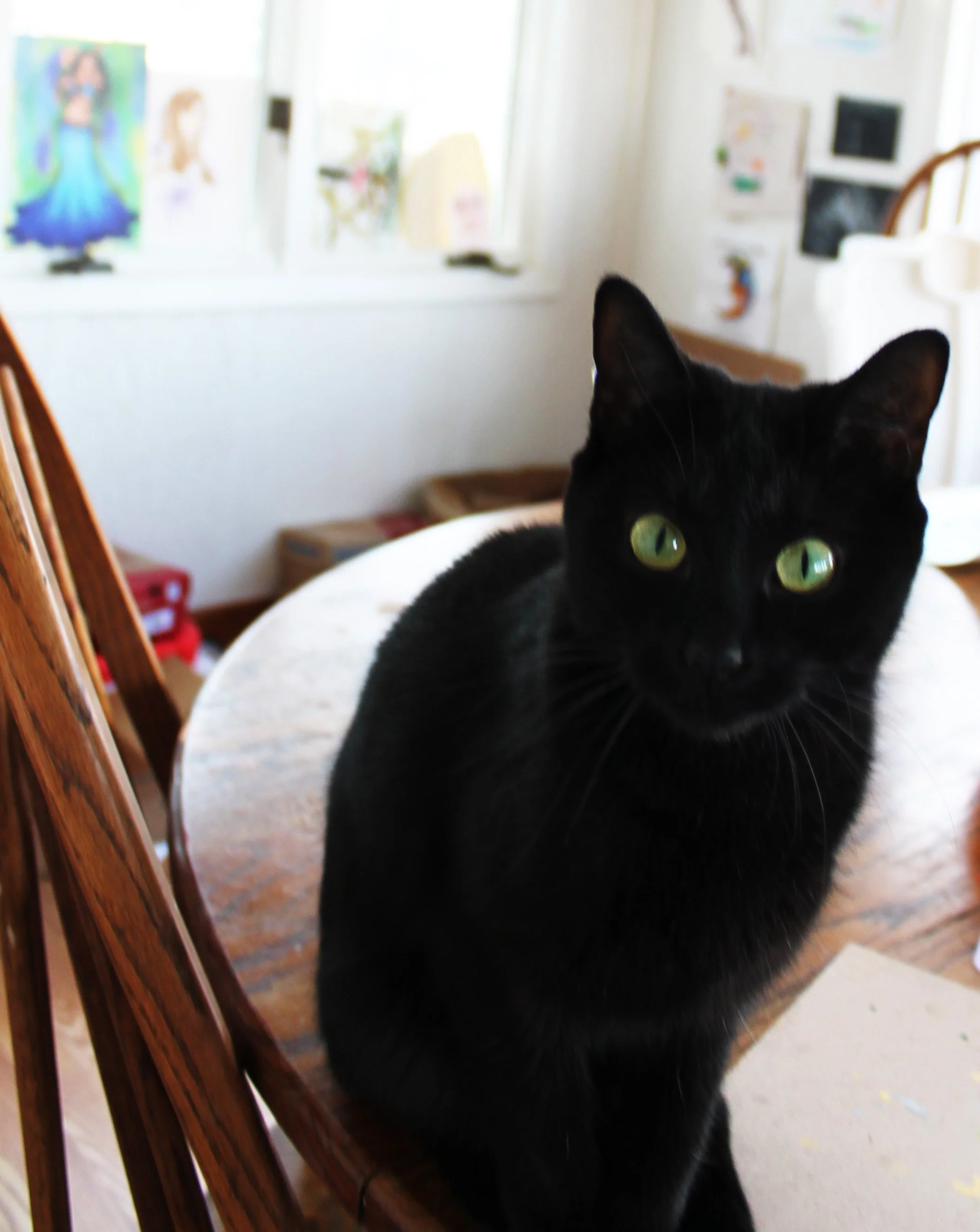 Black cat sitting on a wooden chair in a room with children's drawings on the wall.