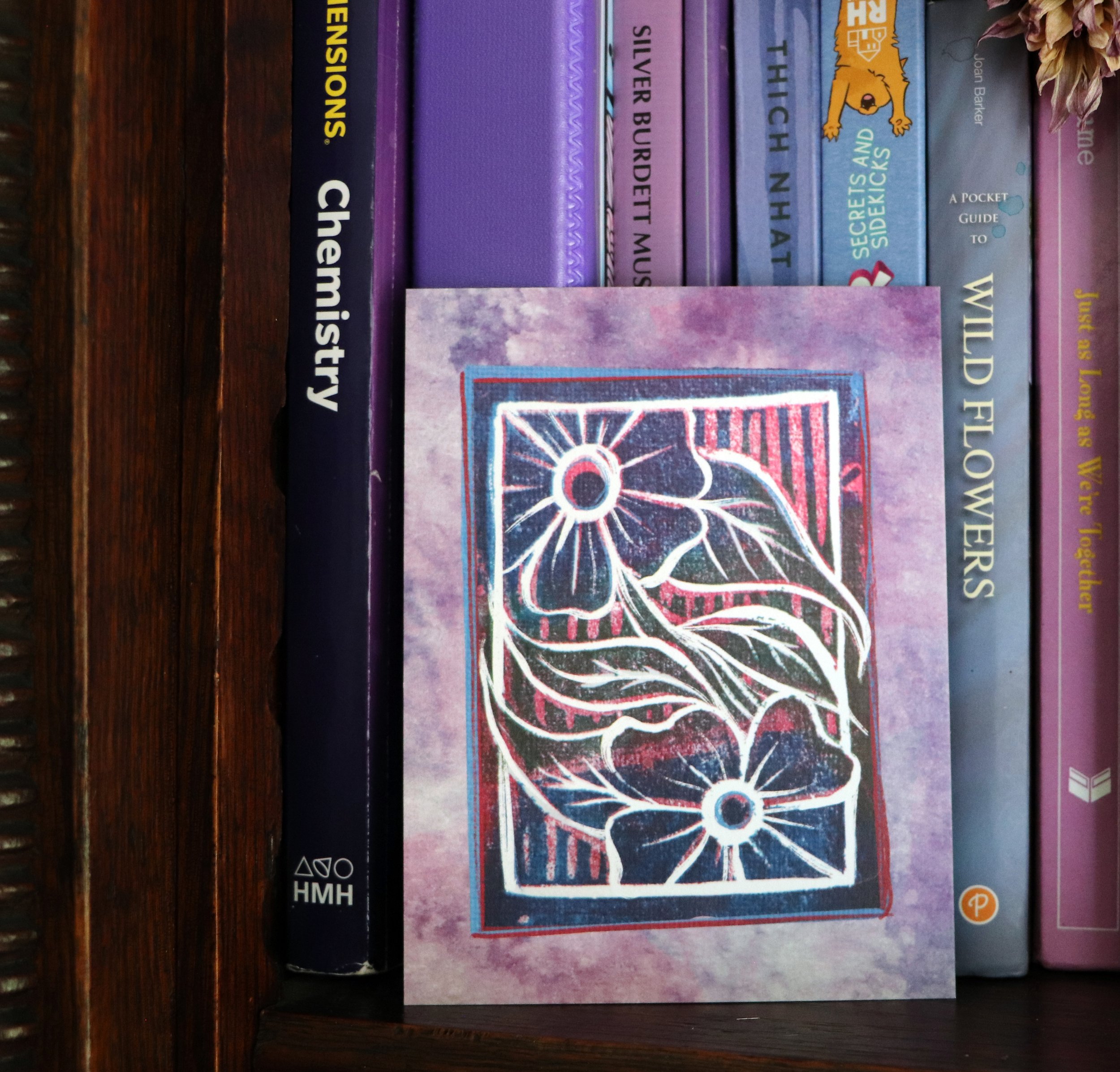 Row of books on a dark wooden shelf, with titles including 'Chesapeake,' 'Silver Buir,' 'Stihl,' and 'Decrecks and Sidekicks,' with a pink paperback book in the foreground featuring a black, red, and white design.