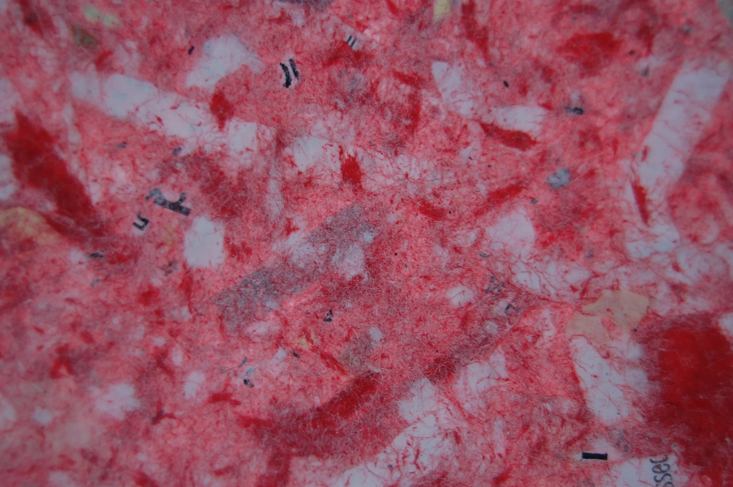 Close-up image of torn red paper with black printed text and partial white areas.