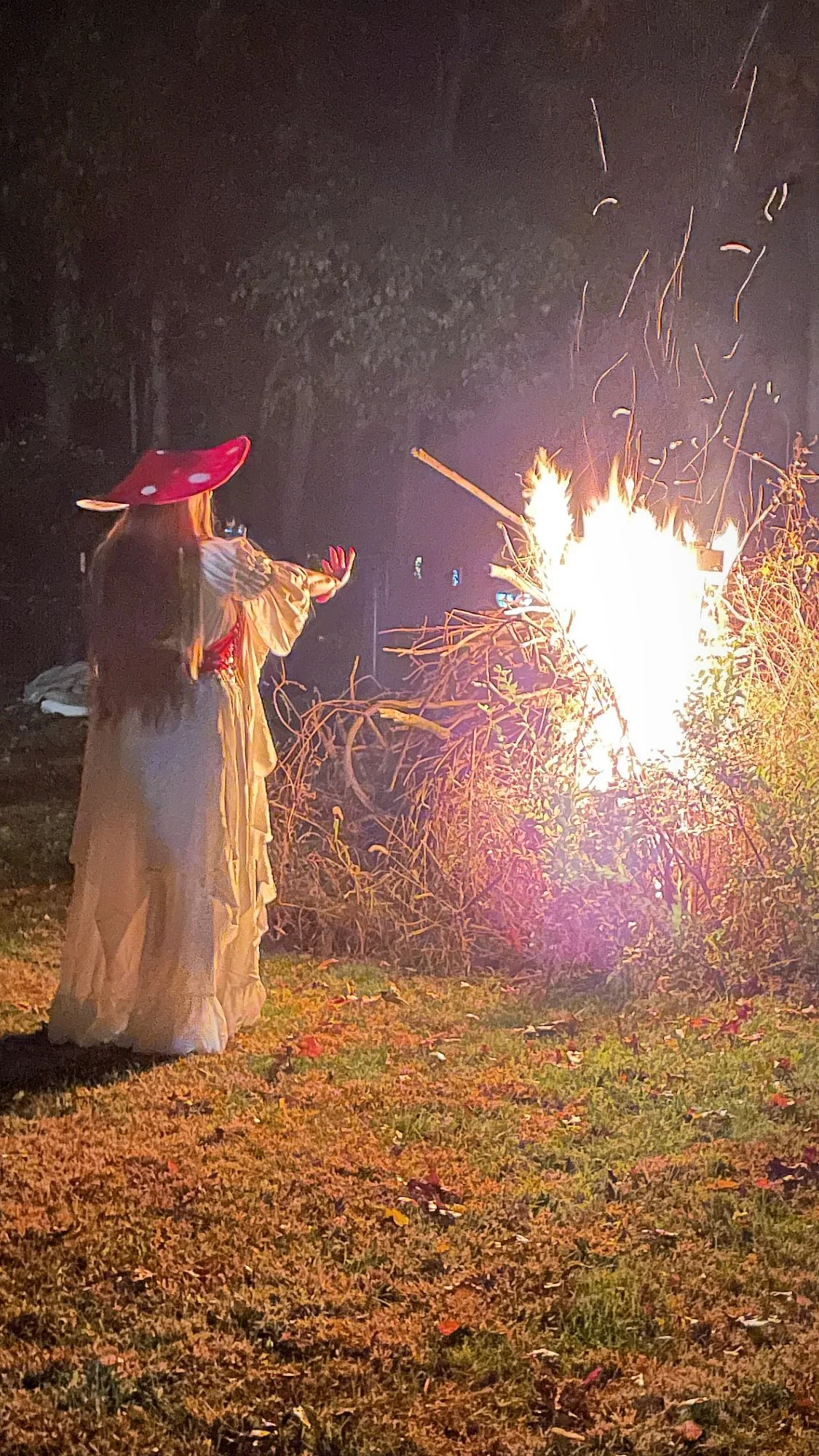 
The Mushroom Goddess rises, a symbol of the earth’s mystical beauty, where fungus thrives in hidden realms. She embodies renewal and resilience, her essence ignited by the fire of life itself. The fire goddess channels energy through mycelium networ