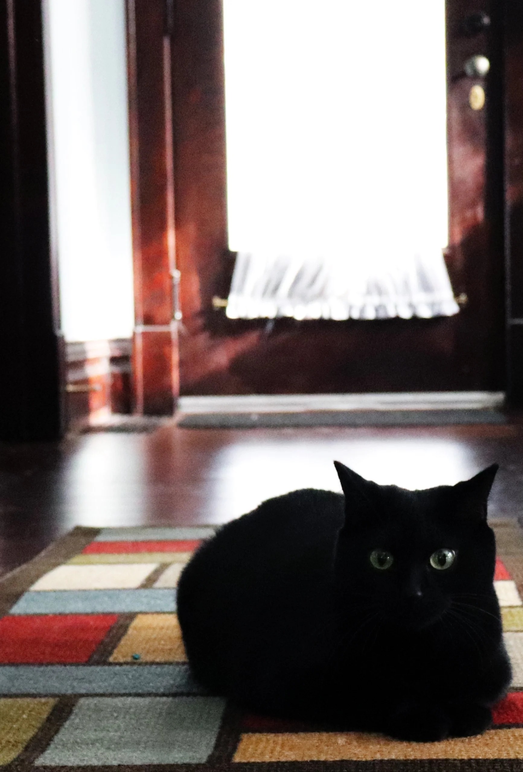 A black cat lying on a multicolored striped rug near a door with a curtain, with light coming through the window.