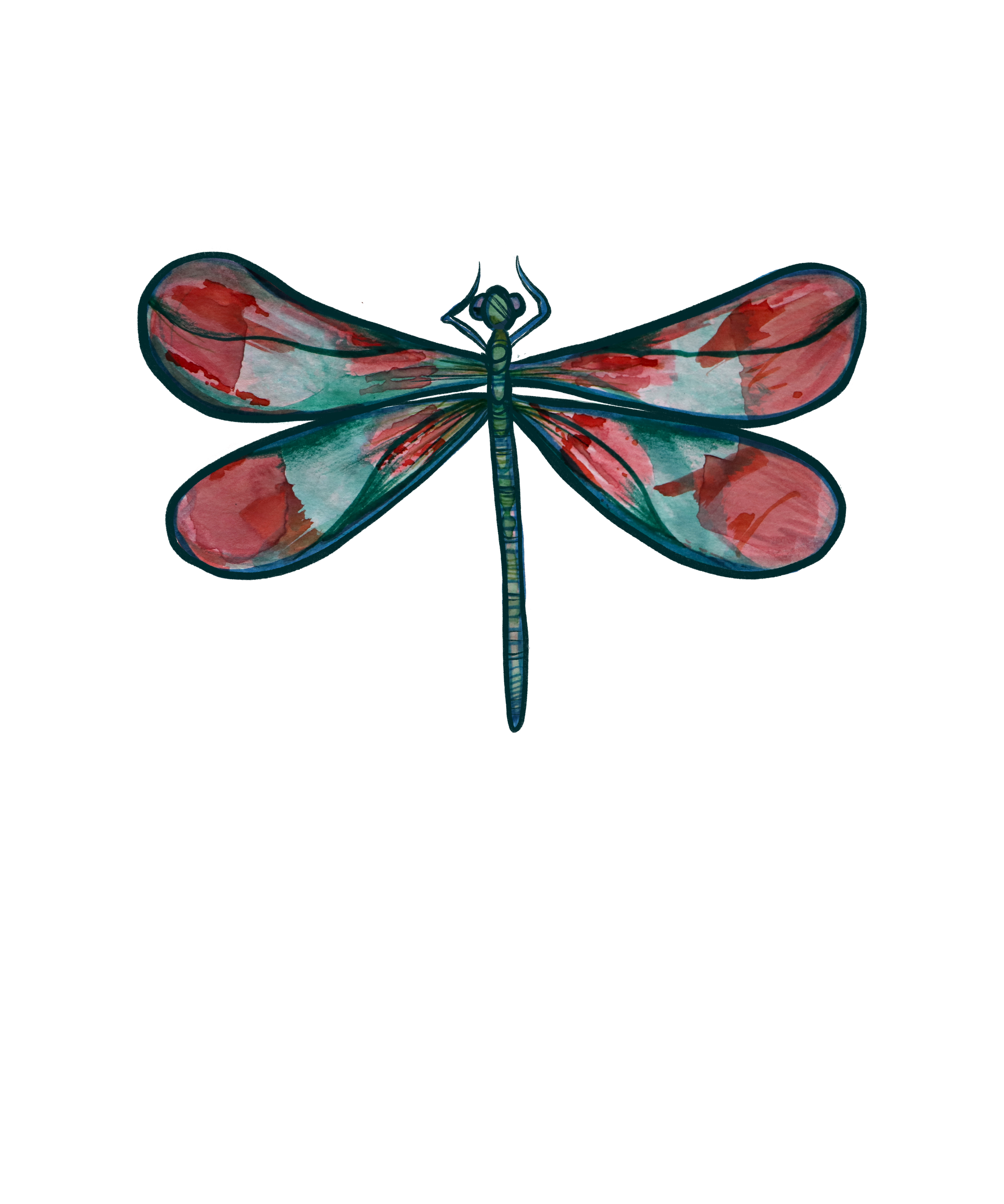 Colorful watercolor illustration of a dragonfly with pink, red, teal, and black wings and body.