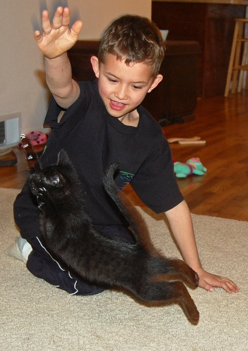 A young boy with short brown hair wearing a black T-shirt, sitting on a beige carpeted floor, waving his hand. A black puppy with a shiny coat is upside down next to him, appearing to playfully interact. The background shows a wooden floor and furnit