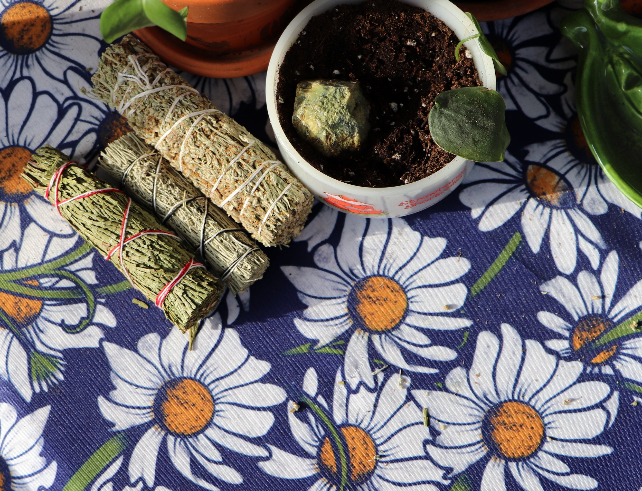 "As green pagans, Earth Day is a sacred celebration of our deep connection to the land, where every tree, rock, and creature is a cherished part of our spiritual family."