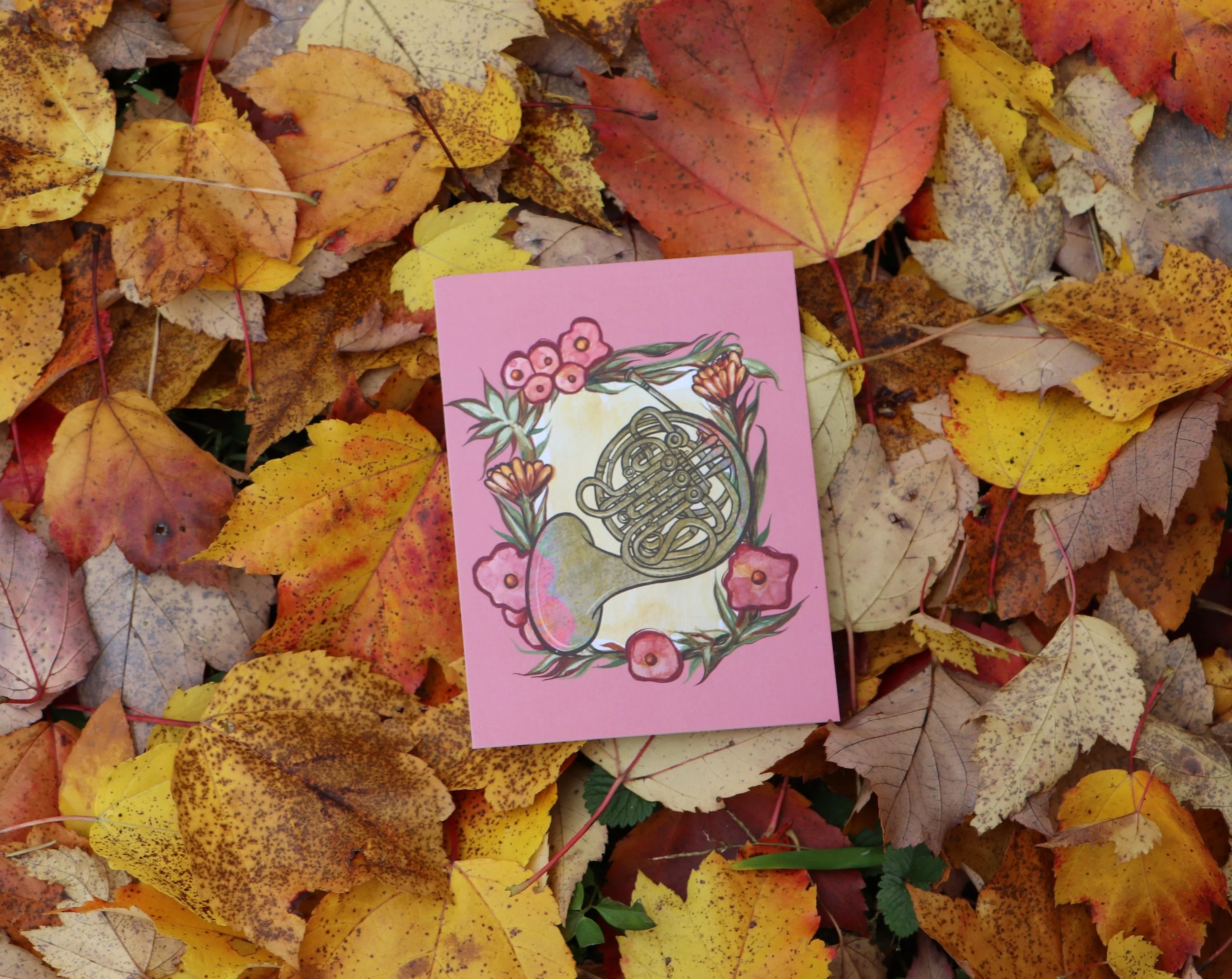 French Horn Postcards